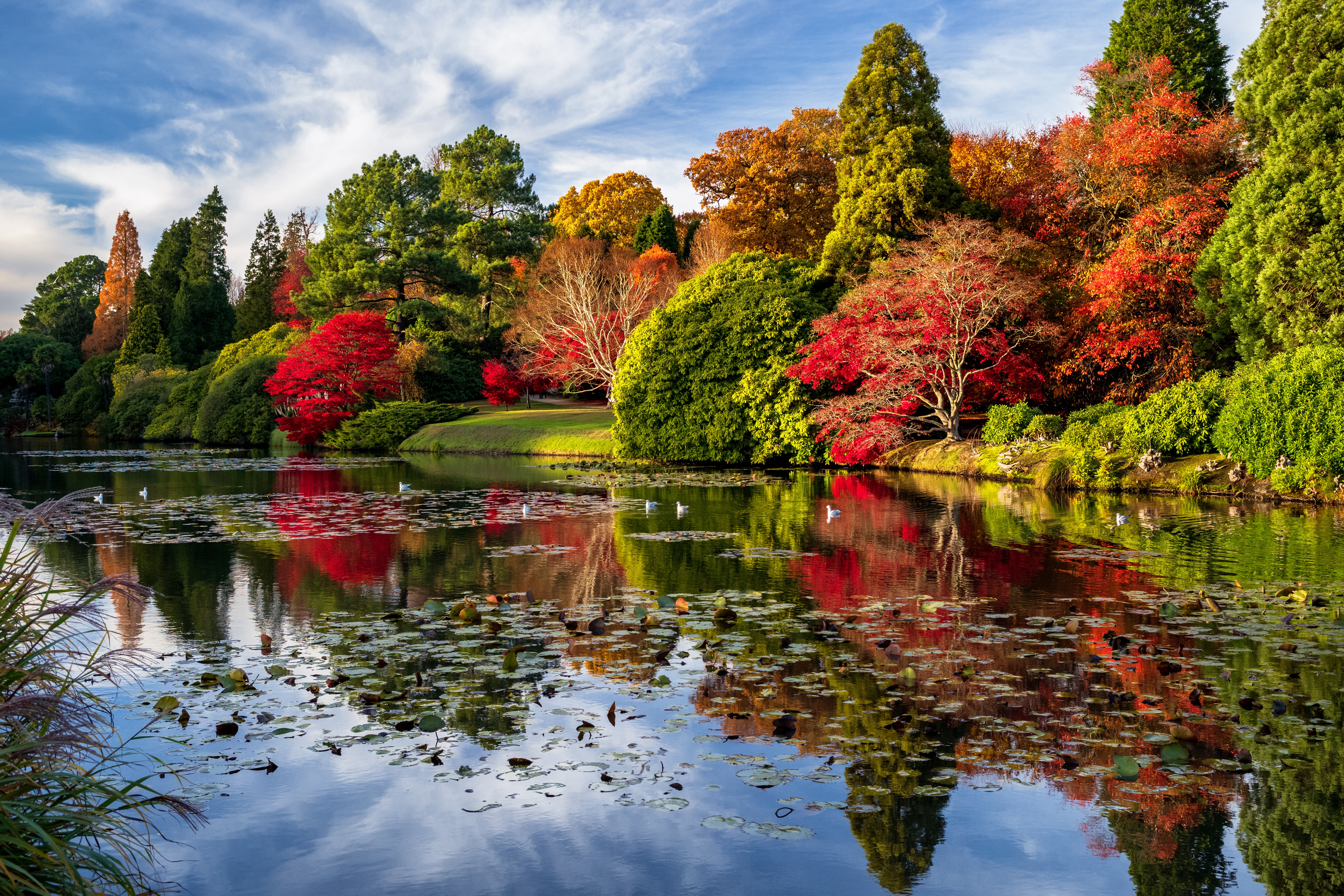 Download mobile wallpaper Landscape, Nature, Park, Tree, Fall, Earth, Pond, England for free.