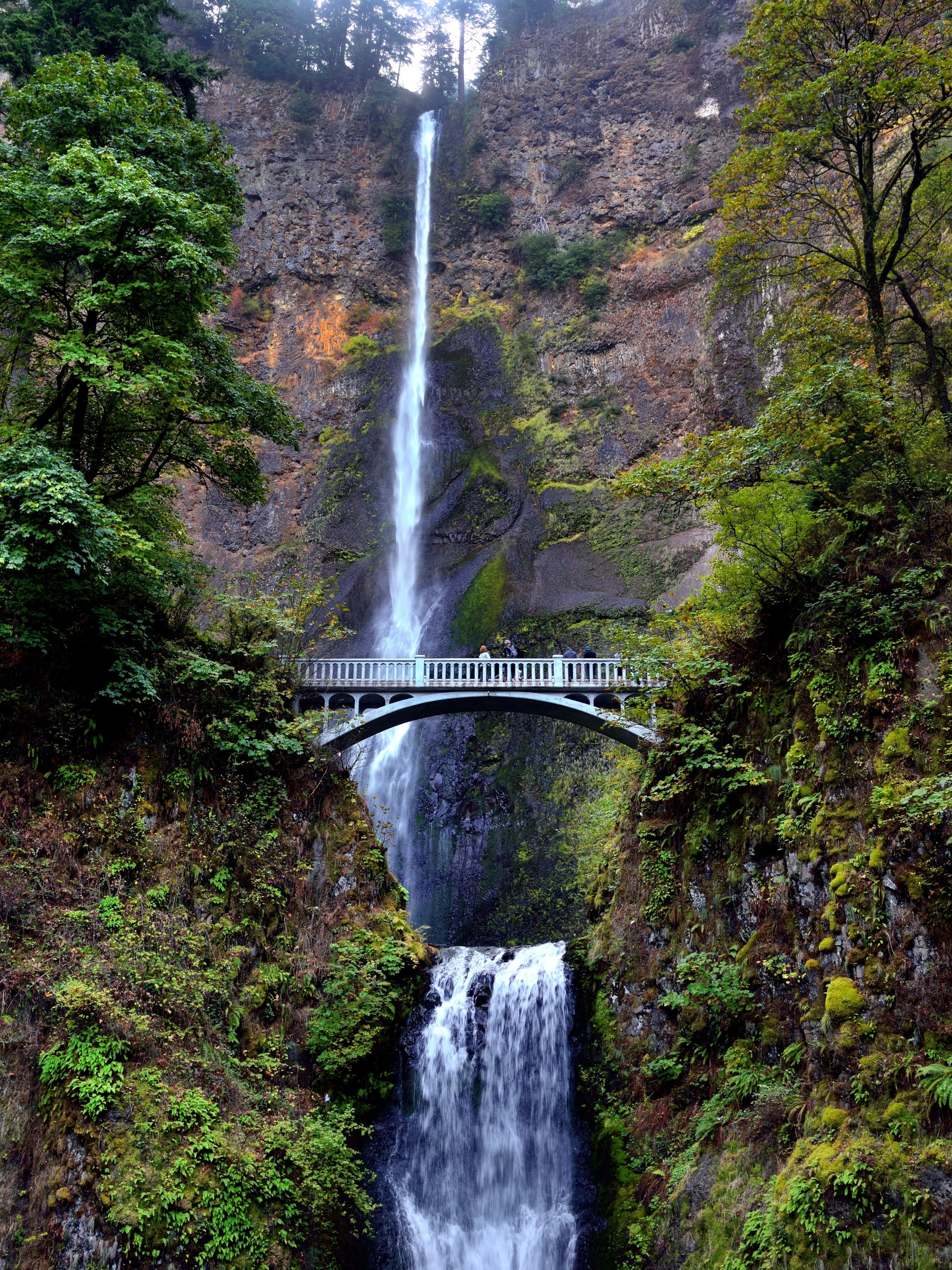 Free download wallpaper Waterfalls, Waterfall, Tree, Earth, Bridge on your PC desktop