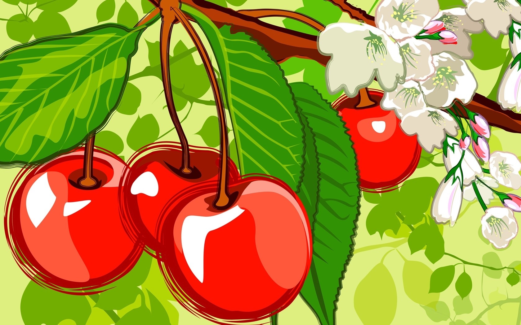 cherry, pictures, fruits, background