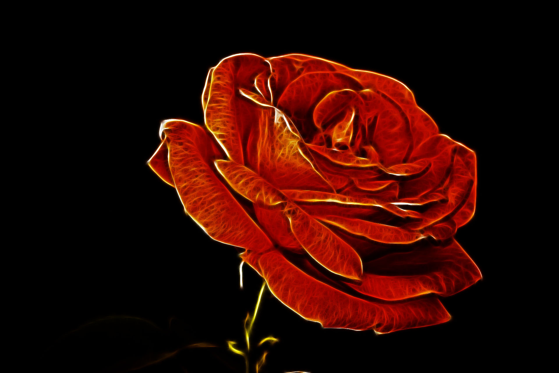 Download mobile wallpaper Flower, Rose, Fractal, Artistic, Orange Flower for free.