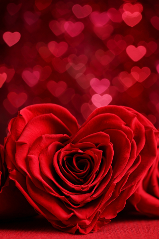 Скачать картинку Цветок, Роза, Красный, Боке, Красная Роза, День Святого Валентина, Праздничные, Красный Цветок, Романтический, В Форме Сердца в телефон бесплатно.