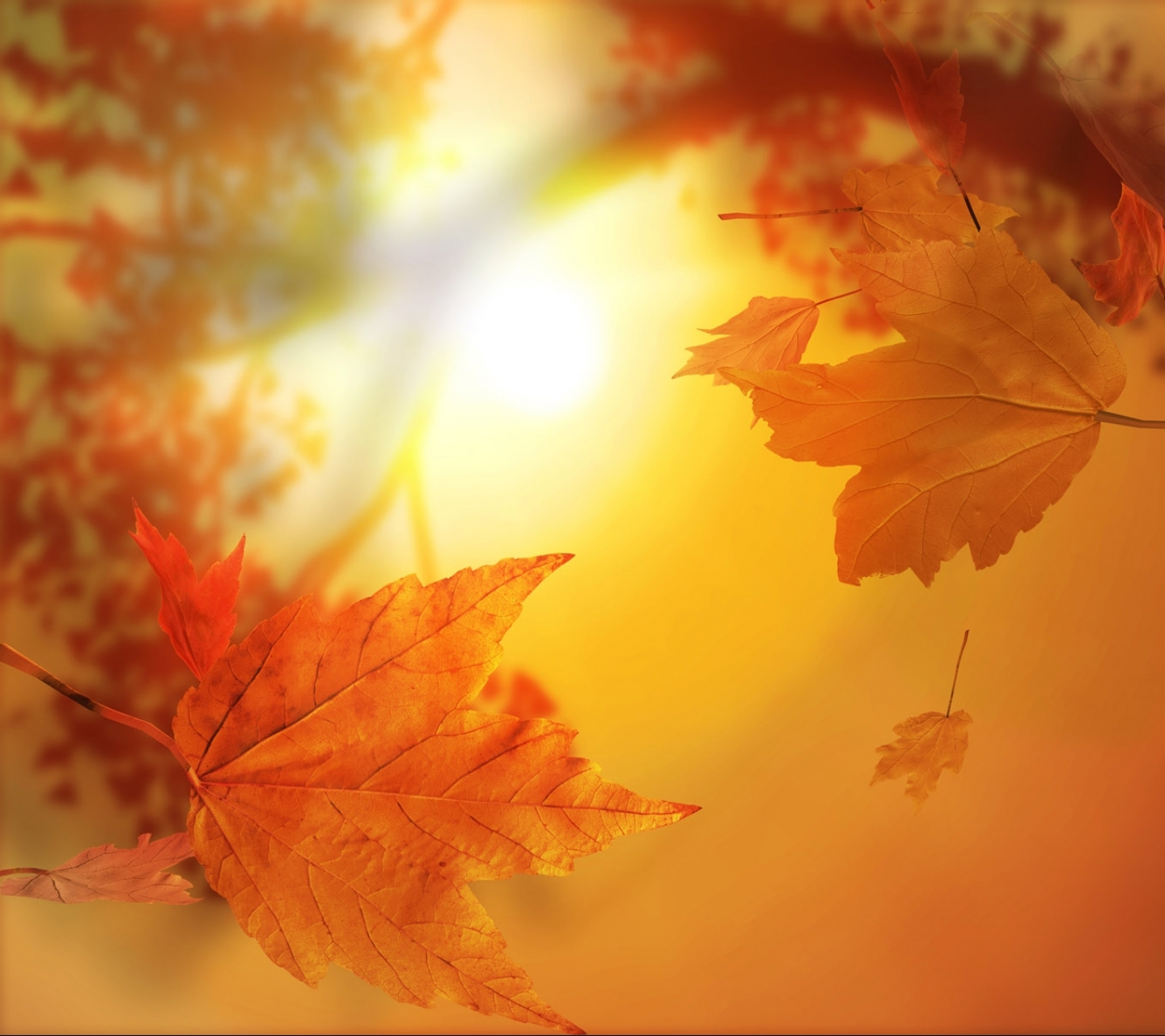 Free download wallpaper Leaf, Fall, Earth, Season on your PC desktop