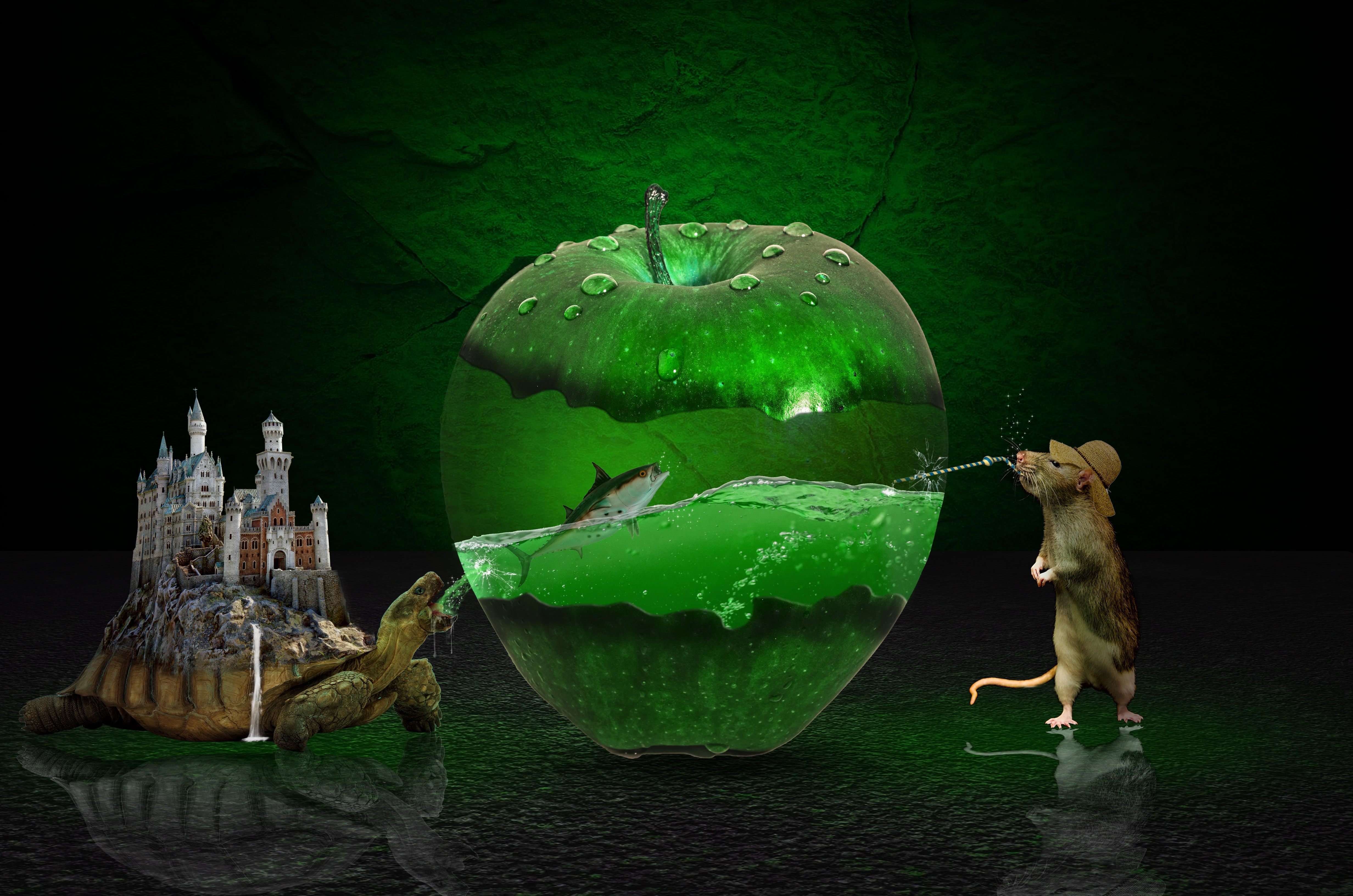 Free download wallpaper Fantasy, Apple, Animal, Mouse, Fish, Turtle, Castle, Fantasy Animals on your PC desktop