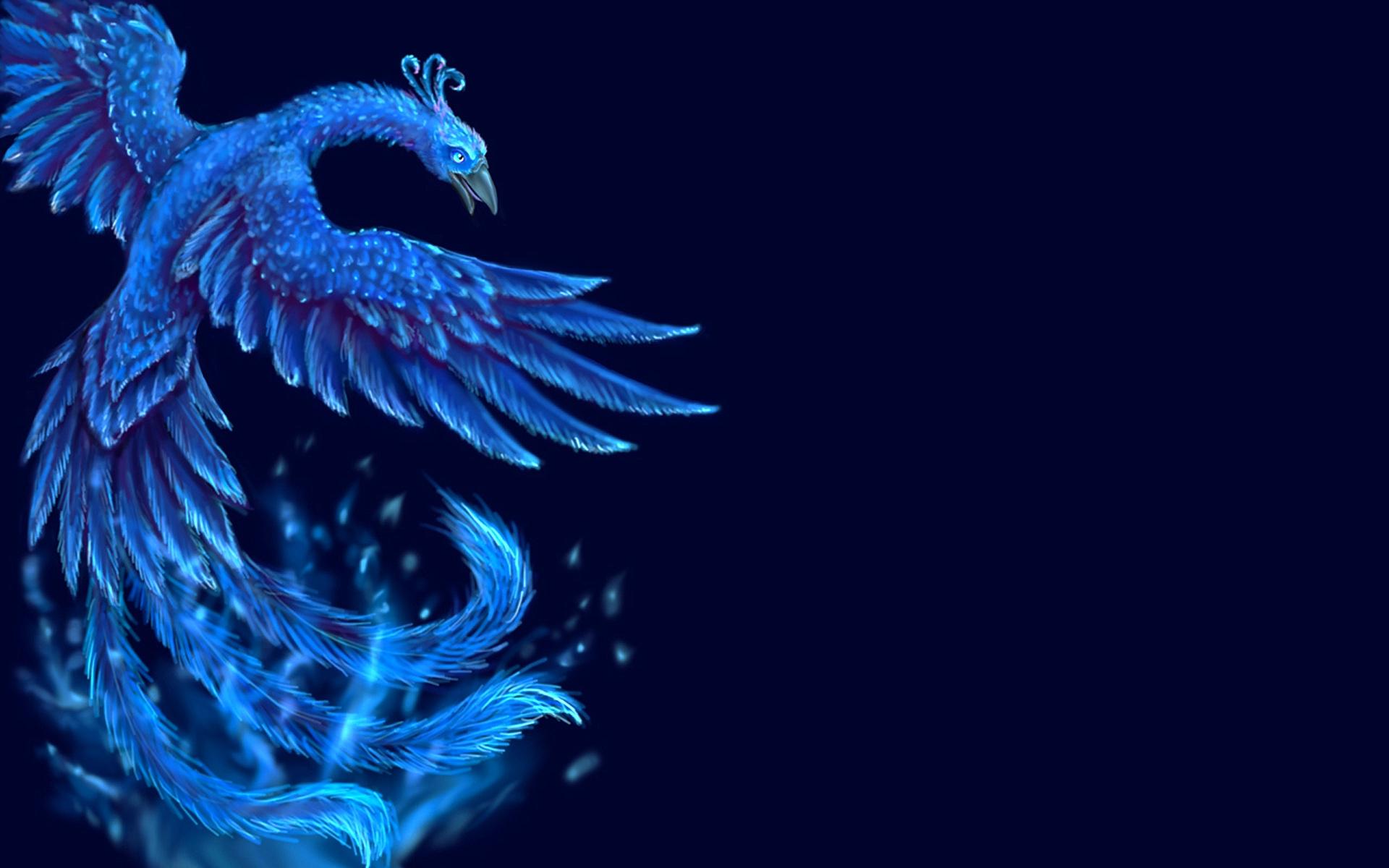 Free download wallpaper Fantasy, Bird, Phoenix, Fantasy Animals on your PC desktop