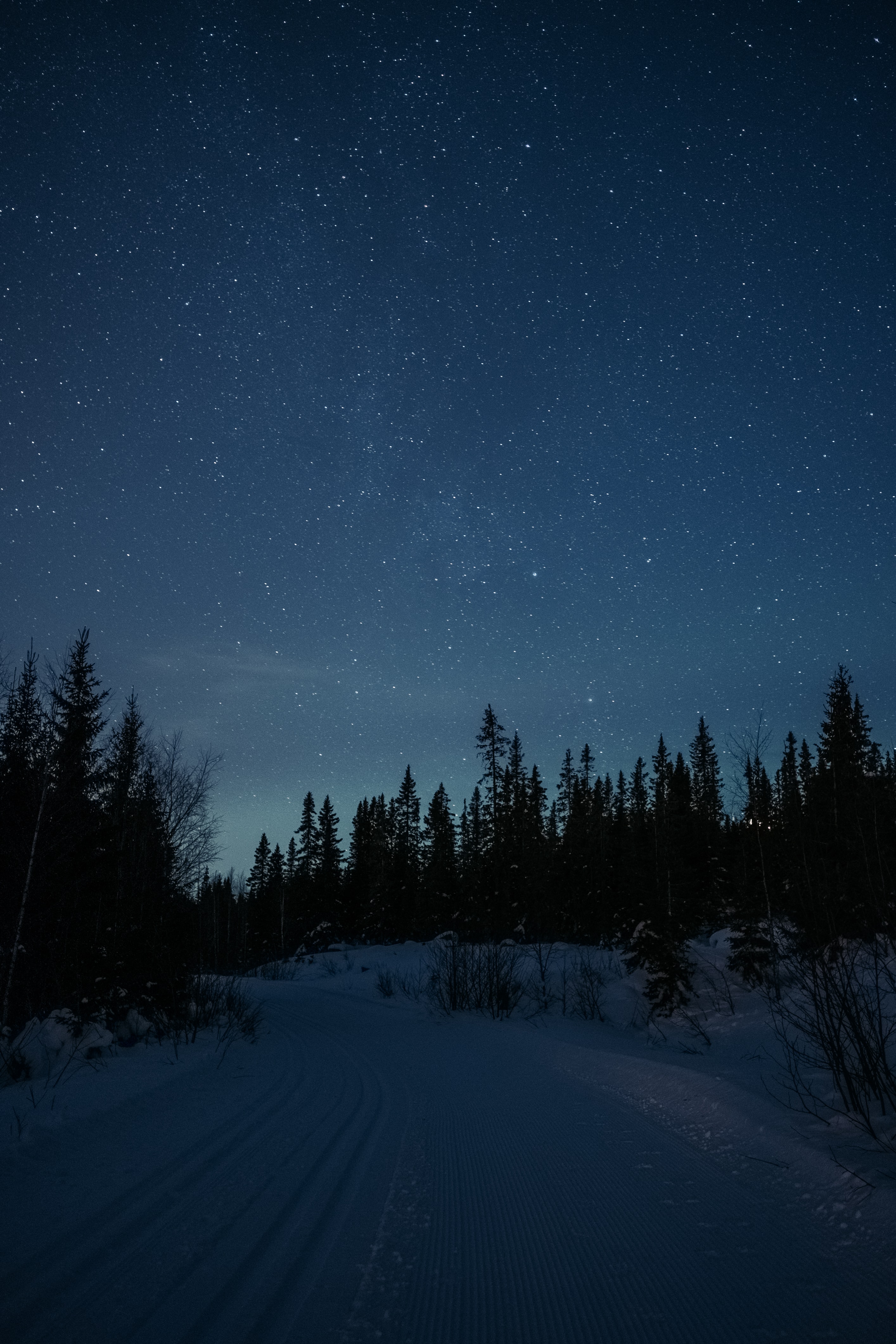 Скачать картинку Снег, Природа, Ночь, Дорога, Лес, Звезды, Зима в телефон бесплатно.