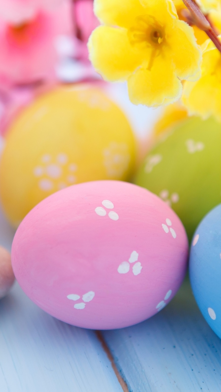 Download mobile wallpaper Easter, Holiday, Colors, Colorful, Egg, Yellow Flower, Blossom, Easter Egg for free.