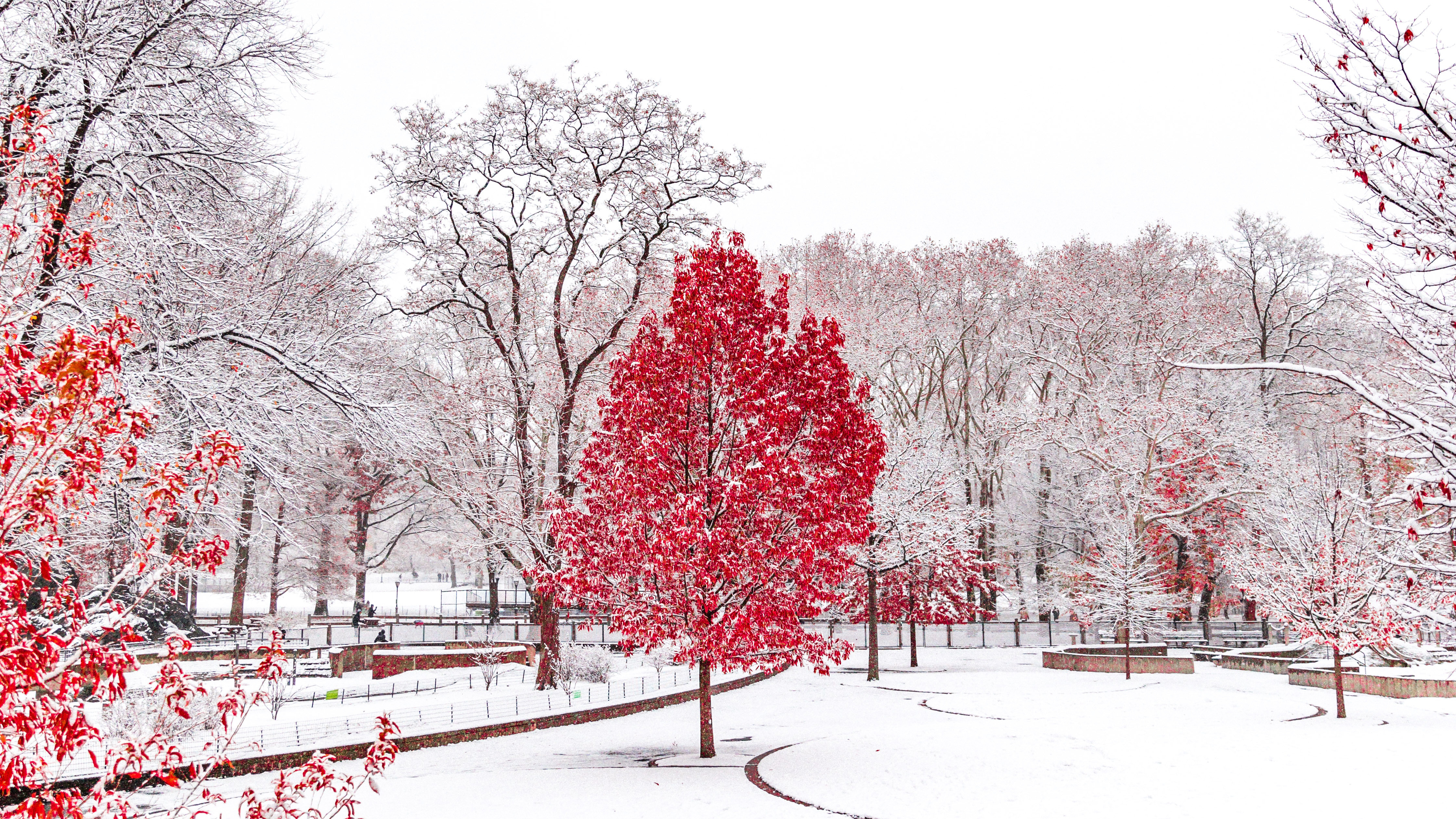 Descarga gratis la imagen Nieve, Parque Central, Hecho Por El Hombre en el escritorio de tu PC