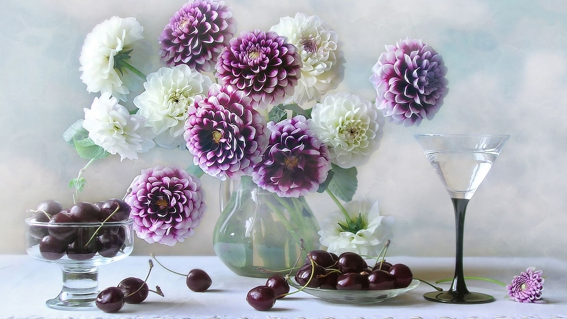 Download mobile wallpaper Cherry, Still Life, Photography, Dahlia, White Flower, Purple Flower for free.