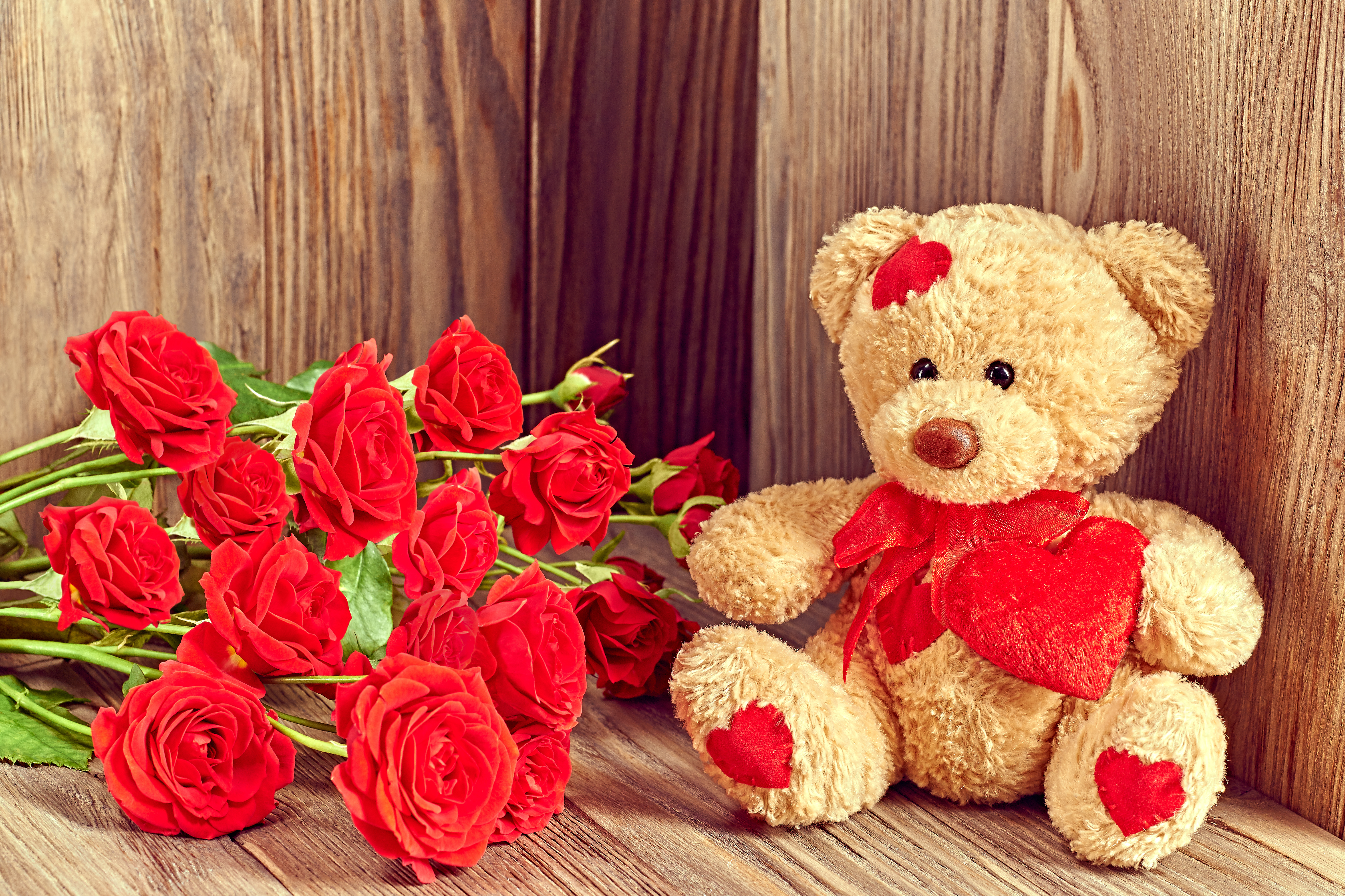 1524826 baixar papel de parede rosa vermelha, feriados, dia dos namorados, flor, amor, rosa, urso teddy - protetores de tela e imagens gratuitamente