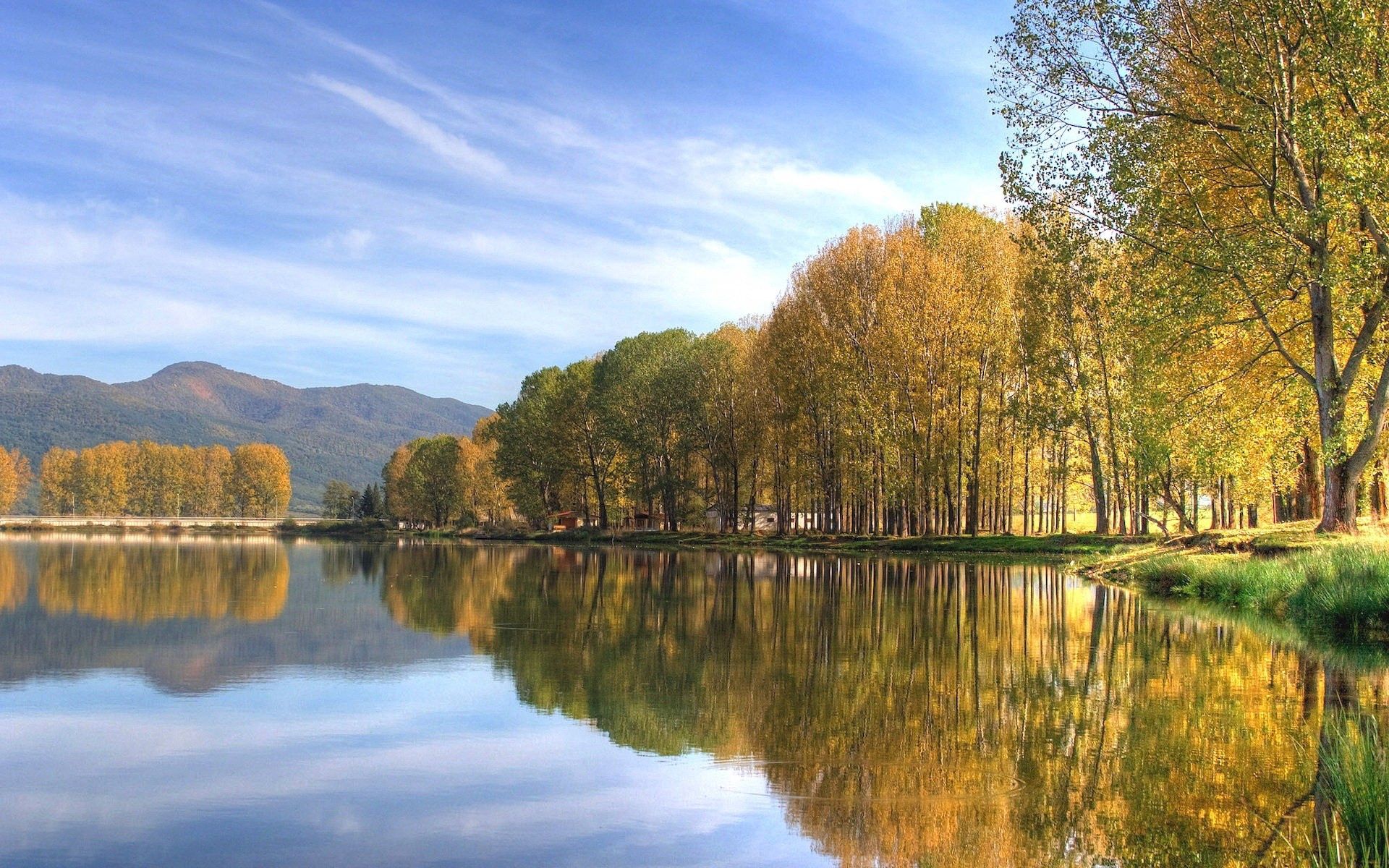 Скачать картинку Деревья, Река, Осень, Природа в телефон бесплатно.