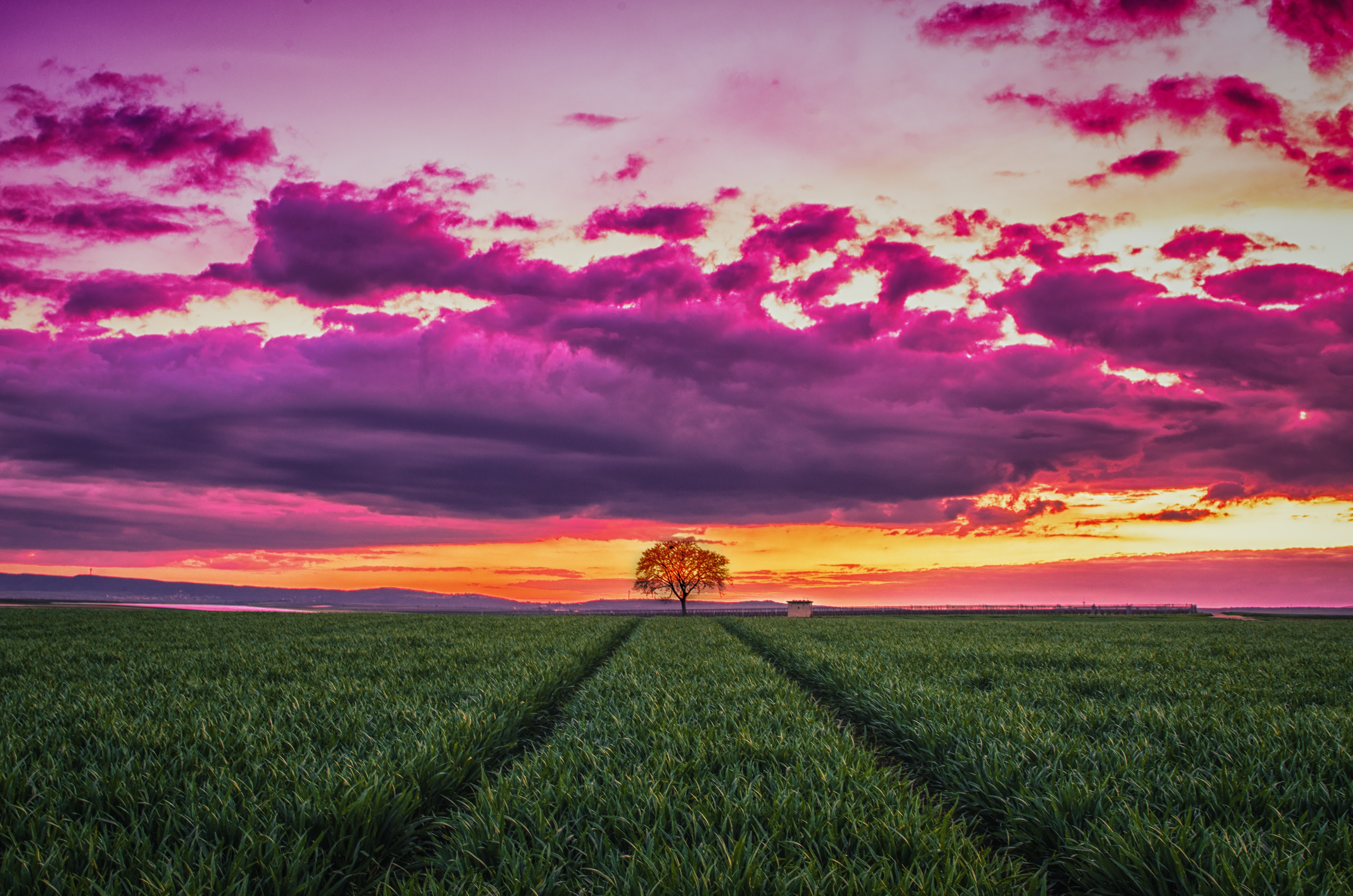 Download mobile wallpaper Field, Clouds, Wood, Grass, Horizon, Tree, Nature, Sunset for free.