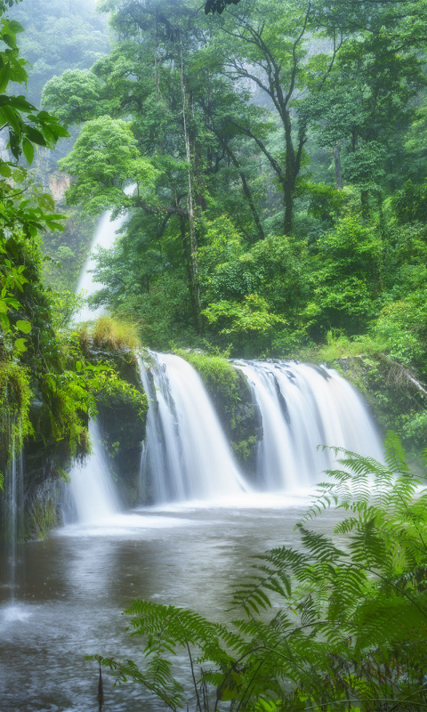 Download mobile wallpaper Nature, Waterfalls, Waterfall, Fern, Forest, Earth for free.