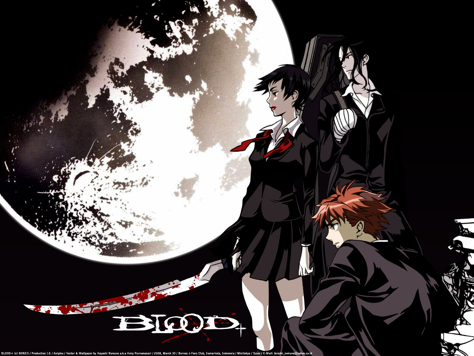anime, blood+