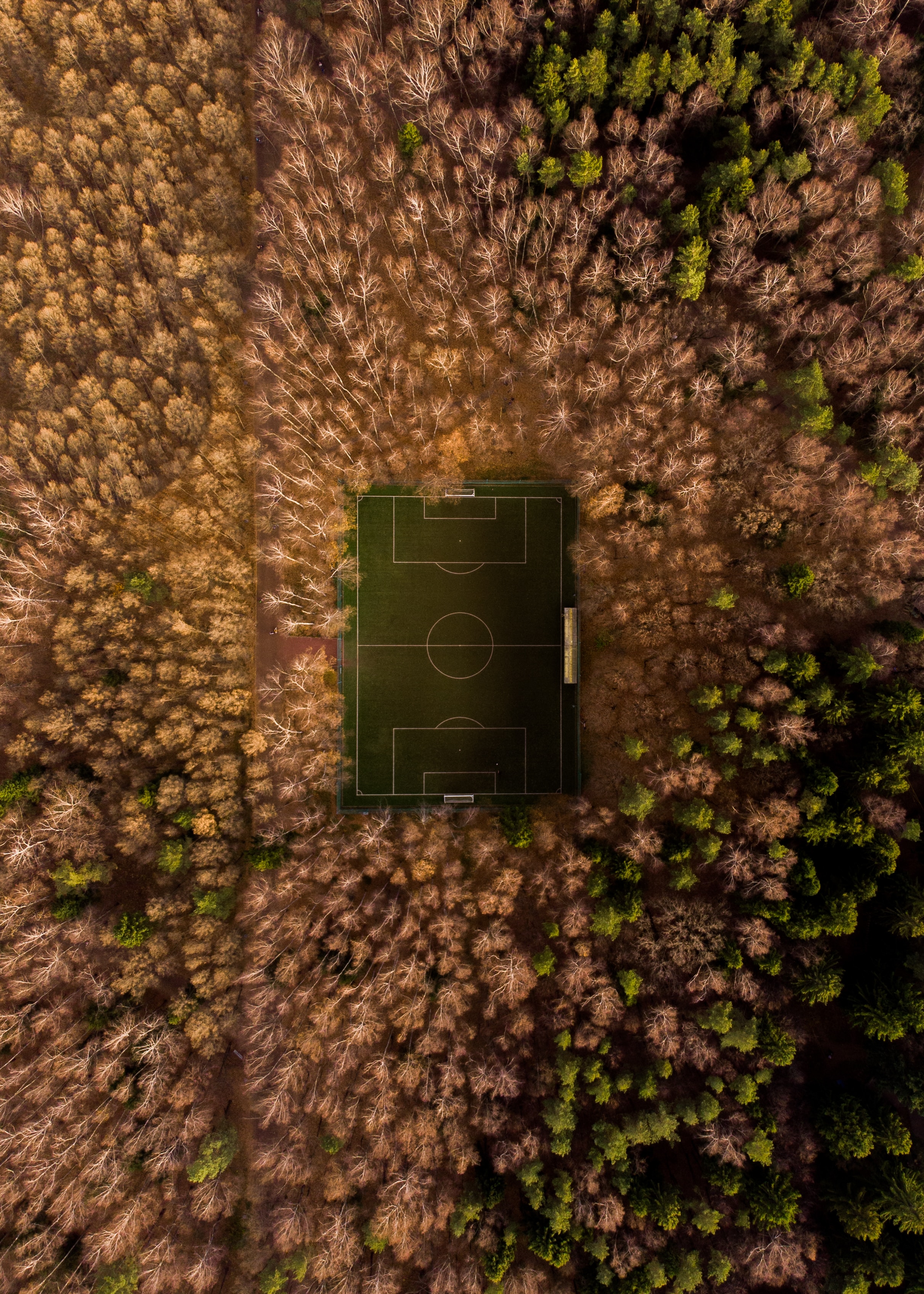 69516 скачать картинку футбольное поле, природа, деревья, вид сверху, площадка, обзор - обои и заставки бесплатно