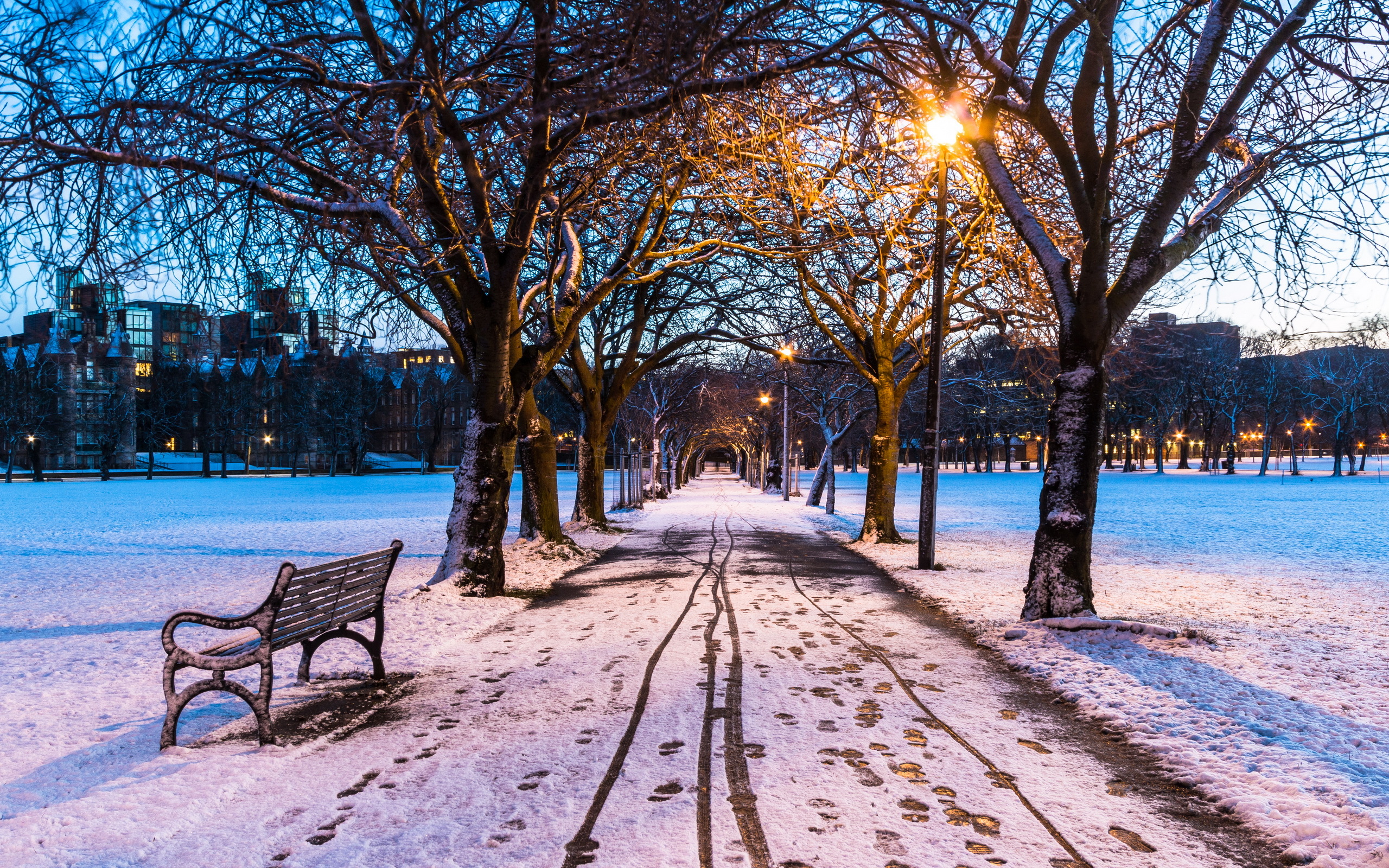 Download mobile wallpaper Winter, Snow, Park, Tree, Path, Bench, Photography for free.