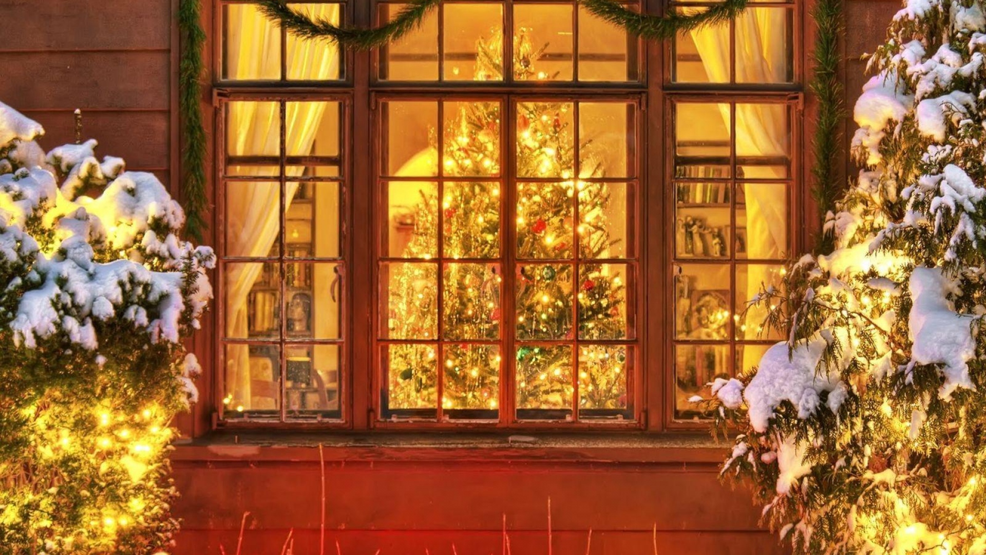 616991画像をダウンロードホリデー, クリスマスのあかり, クリスマス, クリスマスツリー, 窓-壁紙とスクリーンセーバーを無料で