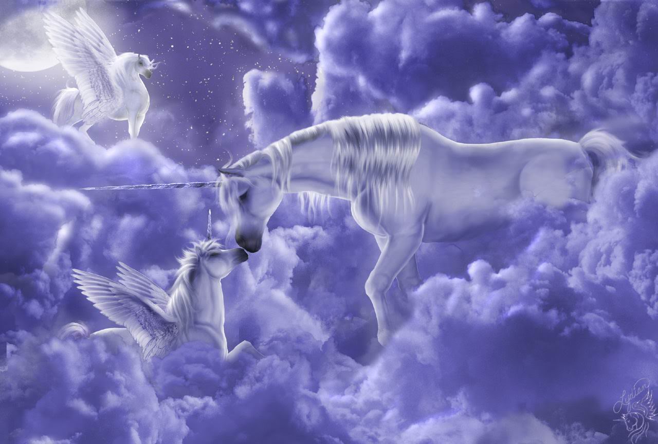 unicorn, fantasy
