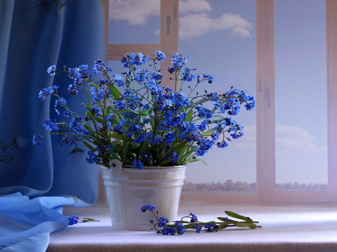 33295 descargar fondo de pantalla plantas, flores, bouquets, azul: protectores de pantalla e imágenes gratis