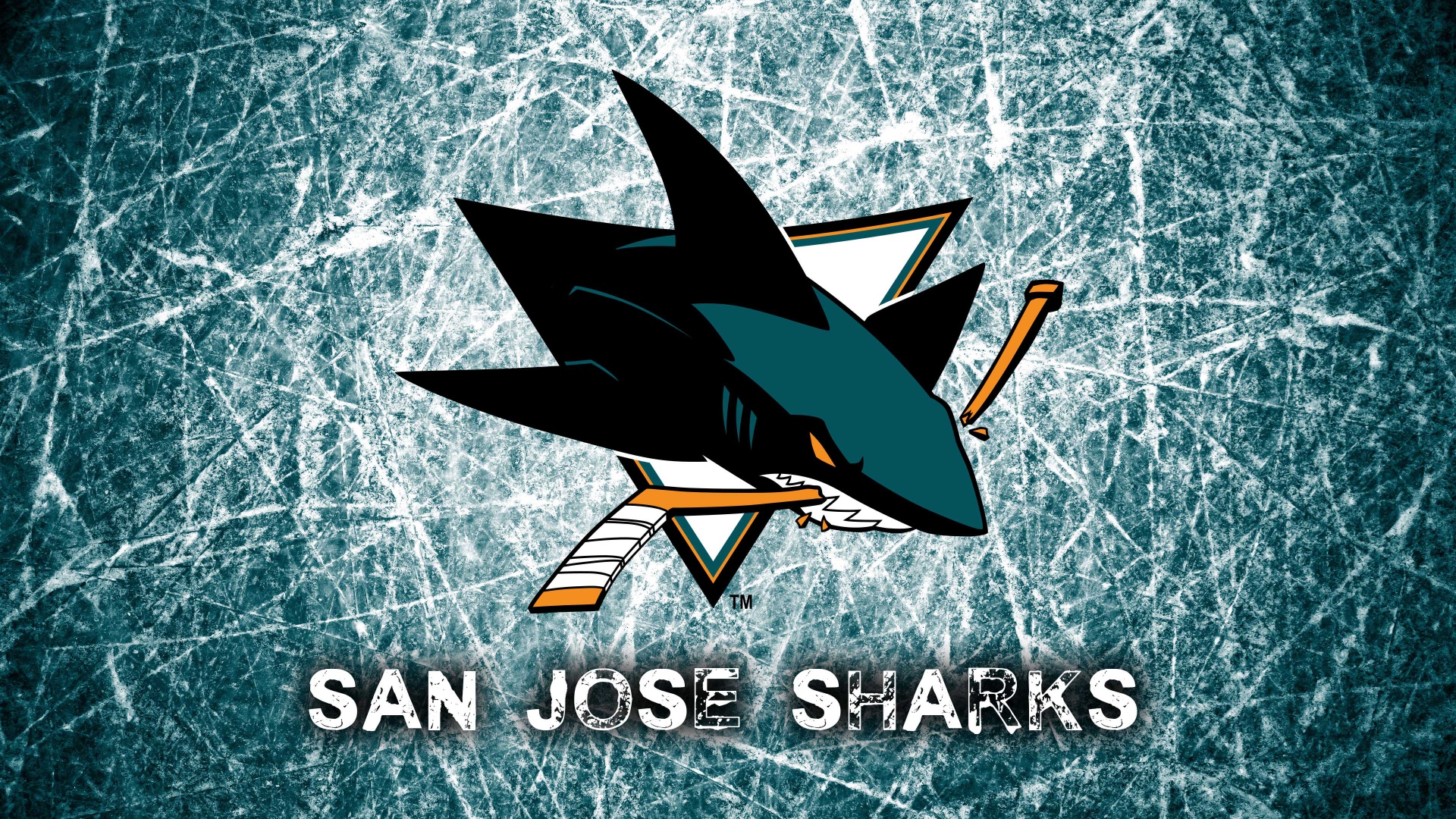 Die besten Haie Von San Jose-Hintergründe für den Telefonbildschirm