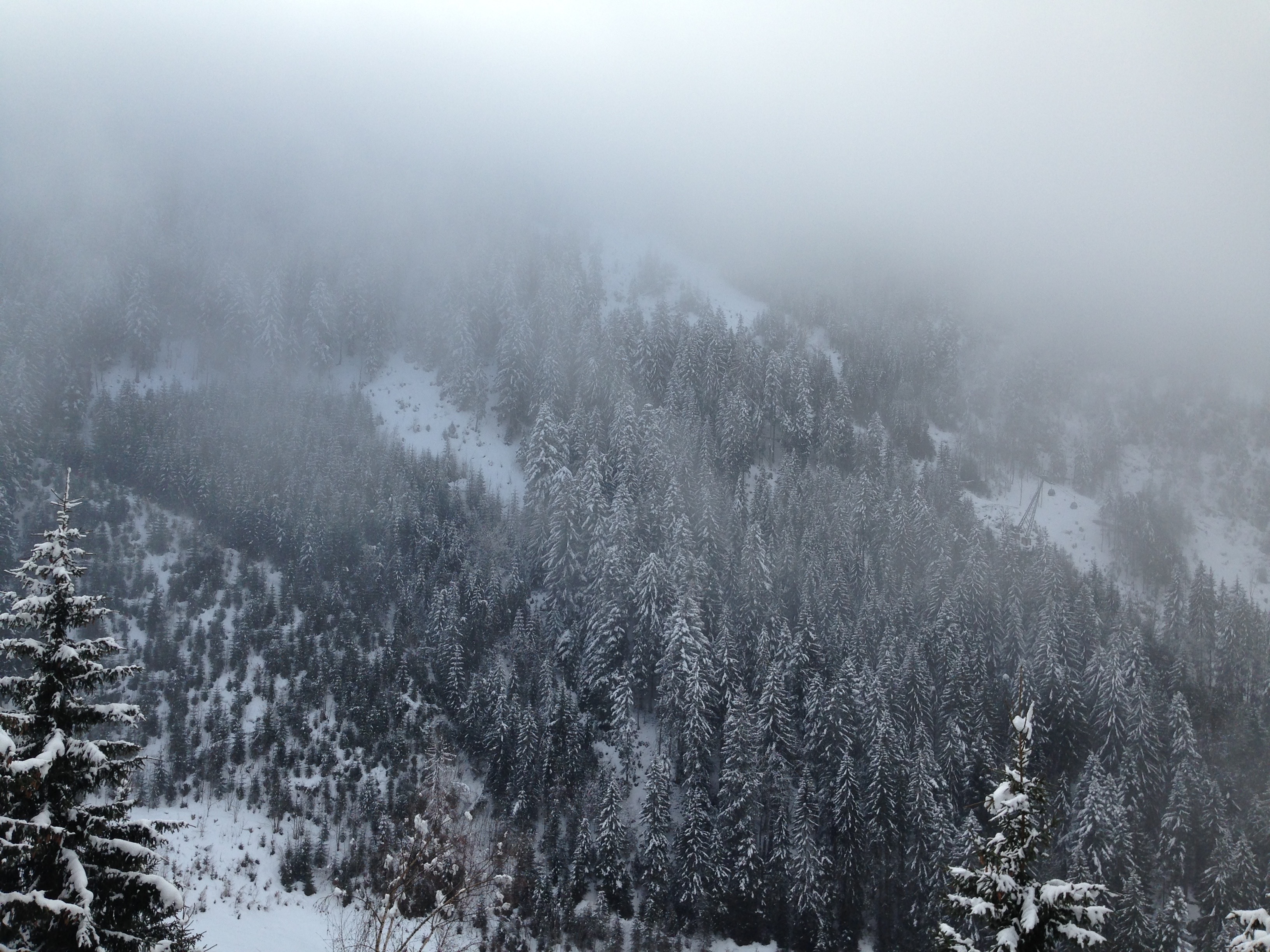 Download mobile wallpaper Snow, Pine, Trees, Fog, Mountains, Nature for free.