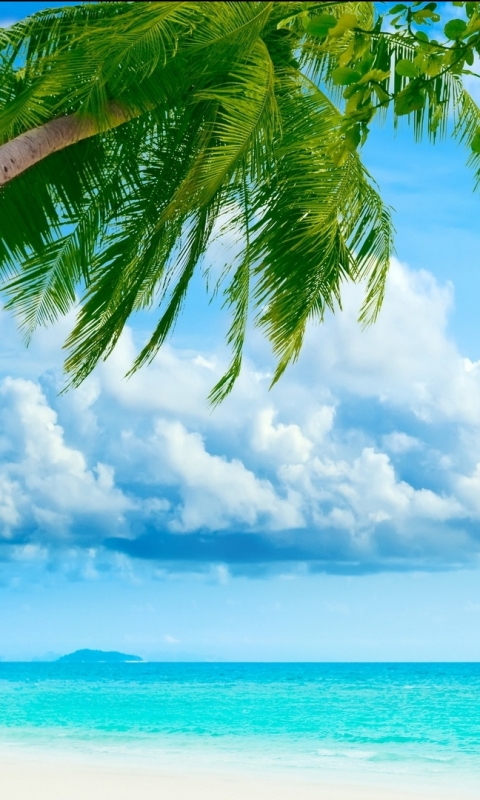 Download mobile wallpaper Nature, Sky, Ocean, Earth for free.