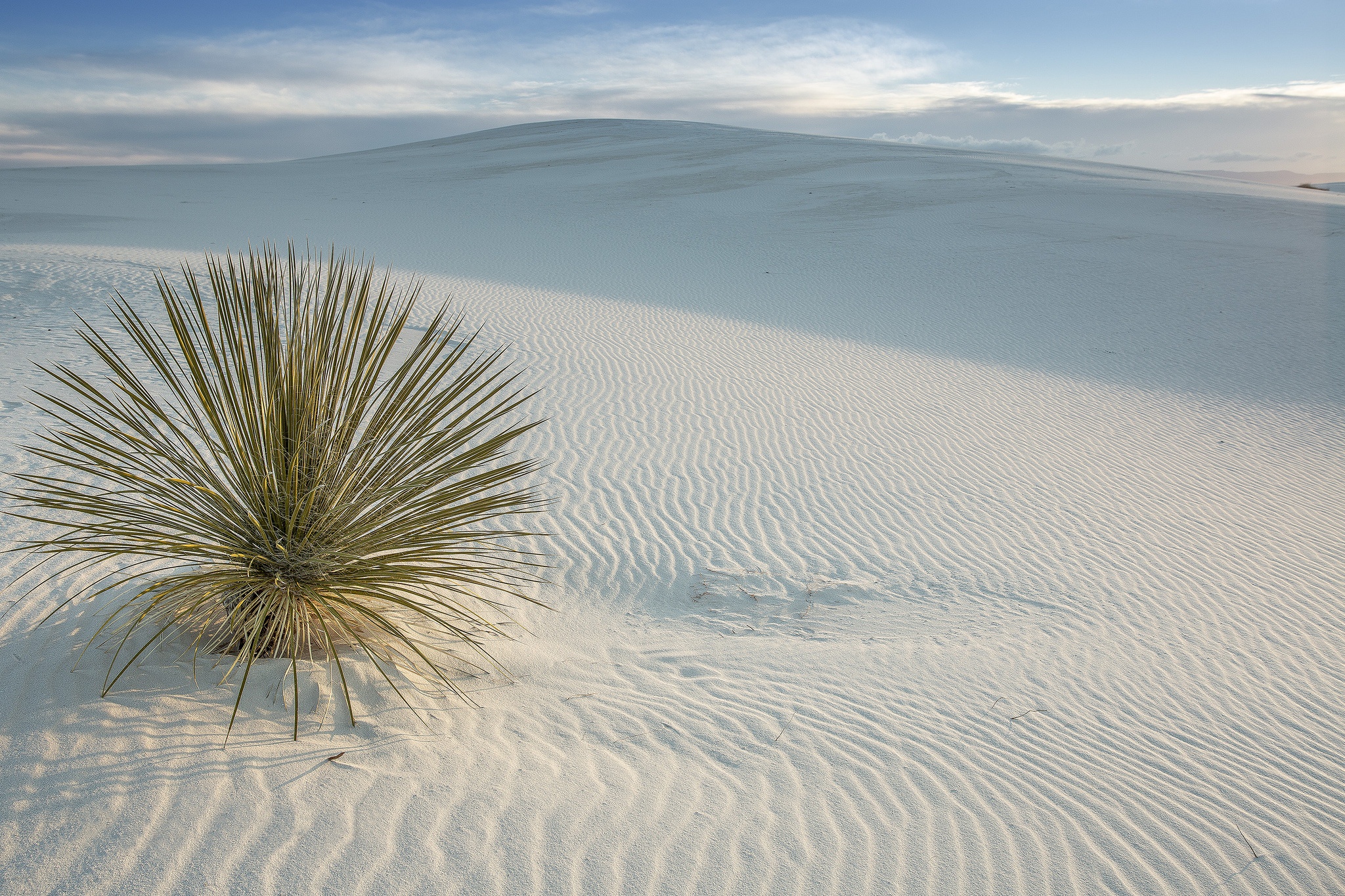 無料モバイル壁紙自然, 地球, 砂丘, 荒野, 砂をダウンロードします。