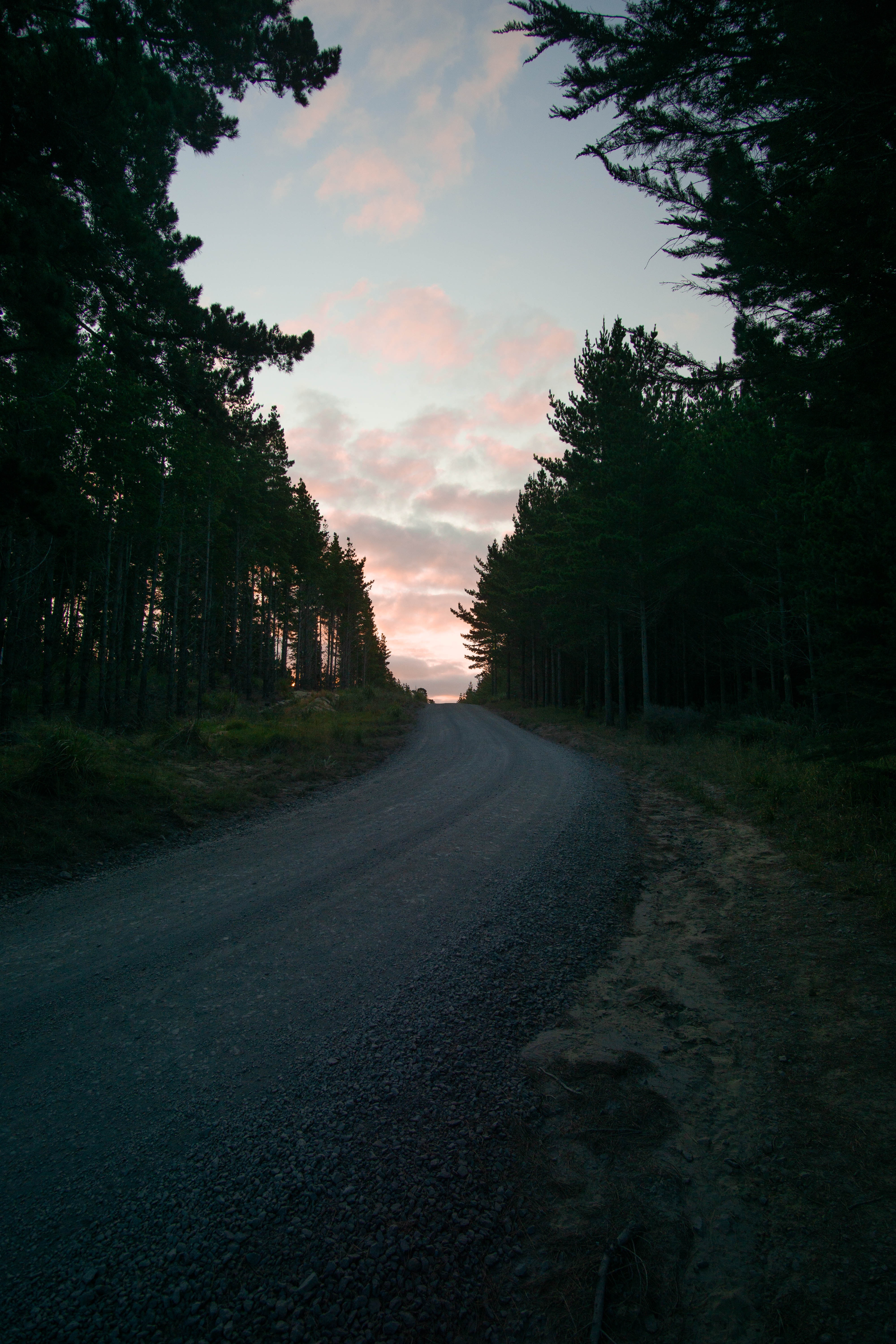 Download mobile wallpaper Road, Trees, Dusk, Evening, Sunset, Nature, Twilight for free.