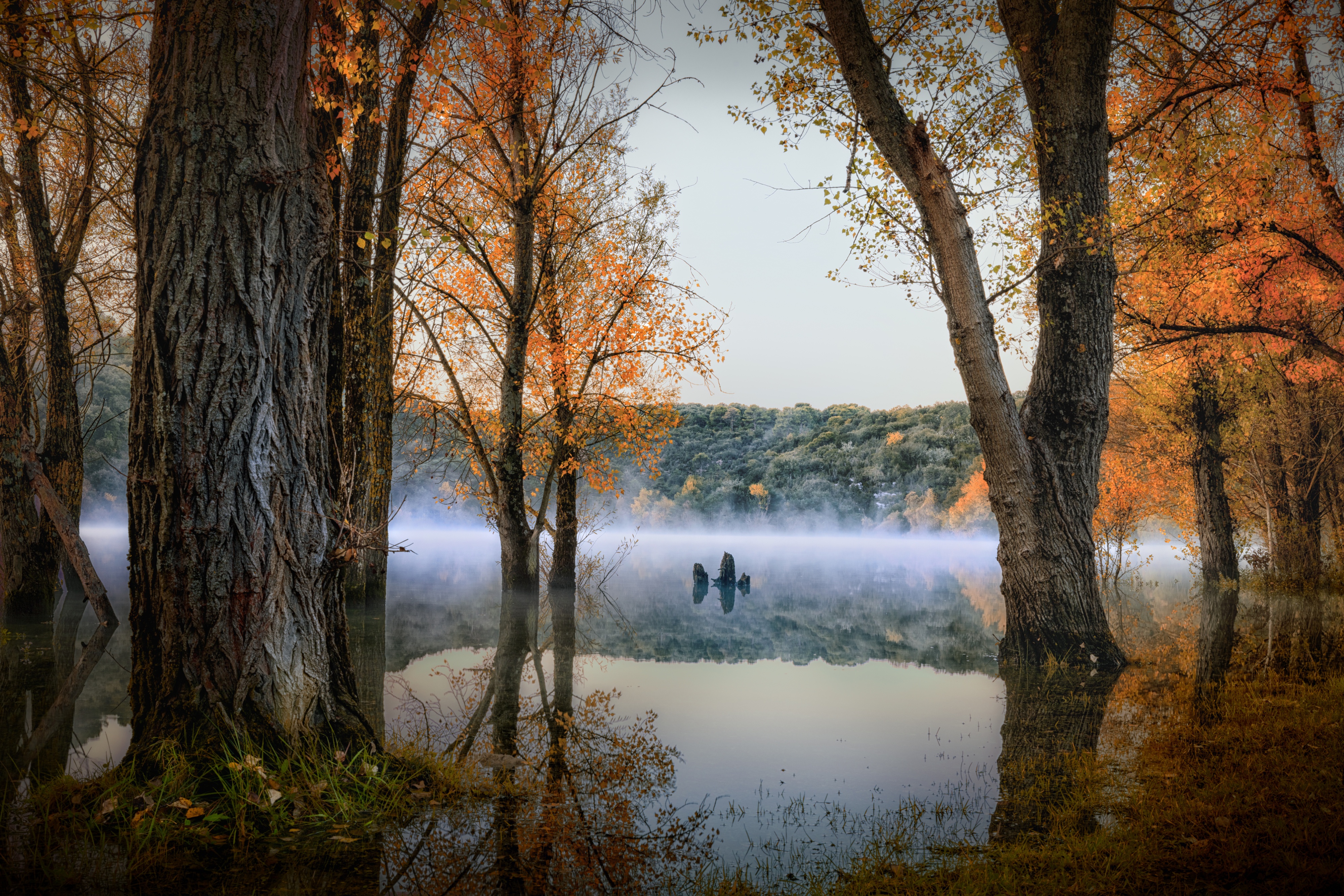 Download mobile wallpaper Landscape, Nature, Lake, Forest, Fog, Fall, Earth for free.