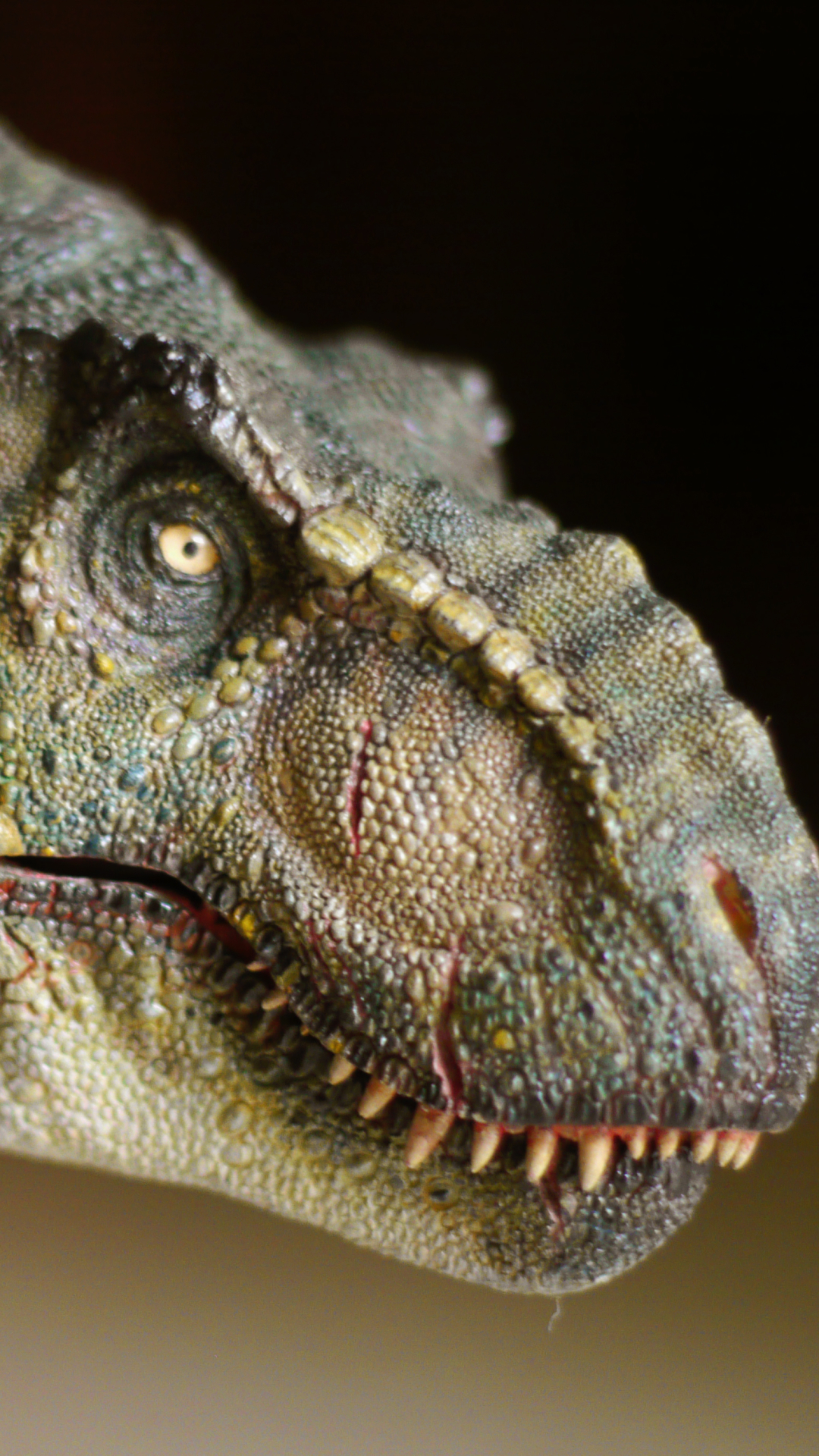 Baixar papel de parede para celular de Animais, Dinossauros, Tiranossauro Rex gratuito.