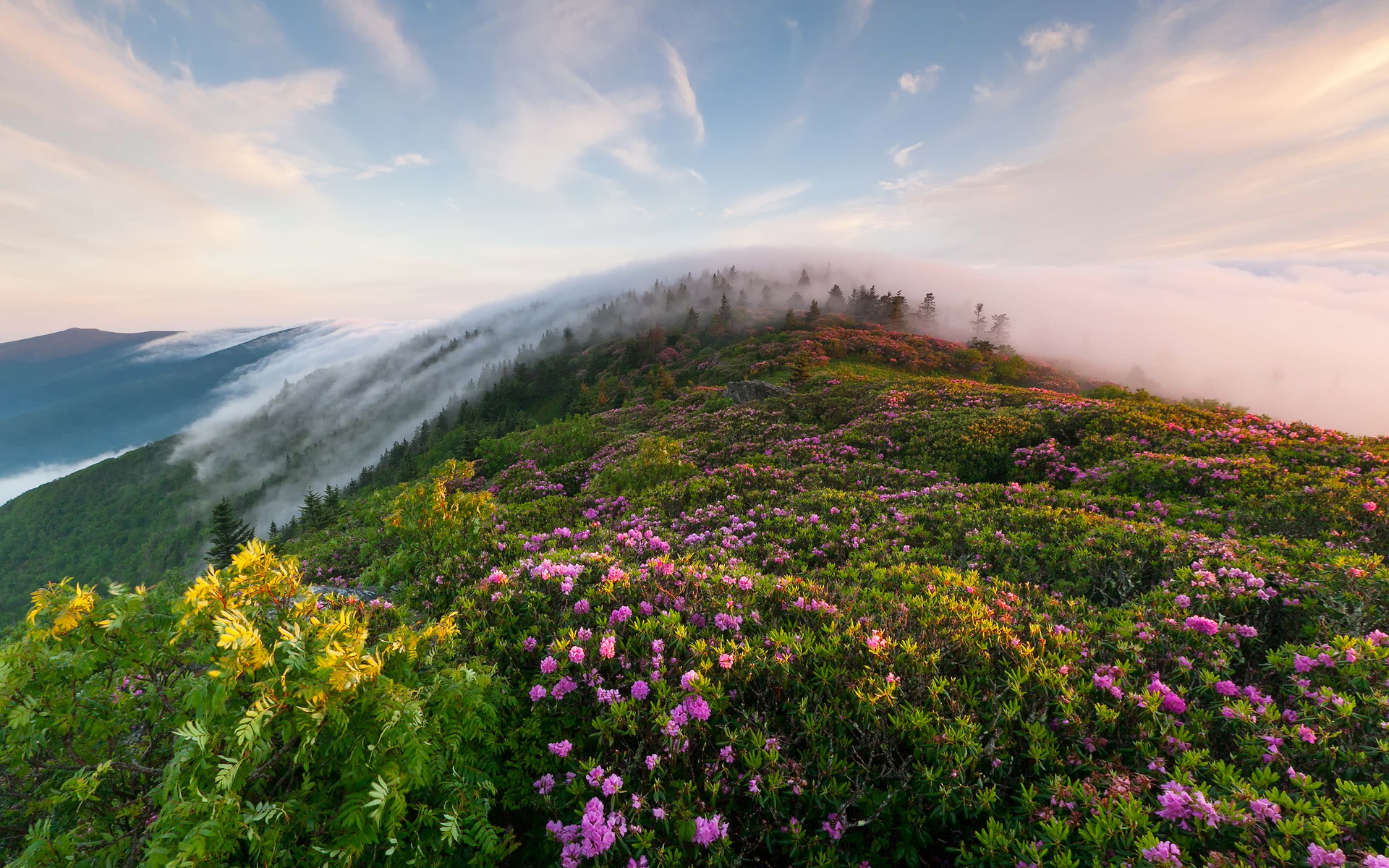 Handy-Wallpaper Landschaft, Blume, Nebel, Gebirge, Wolke, Szene, Himmel, Erde/natur kostenlos herunterladen.