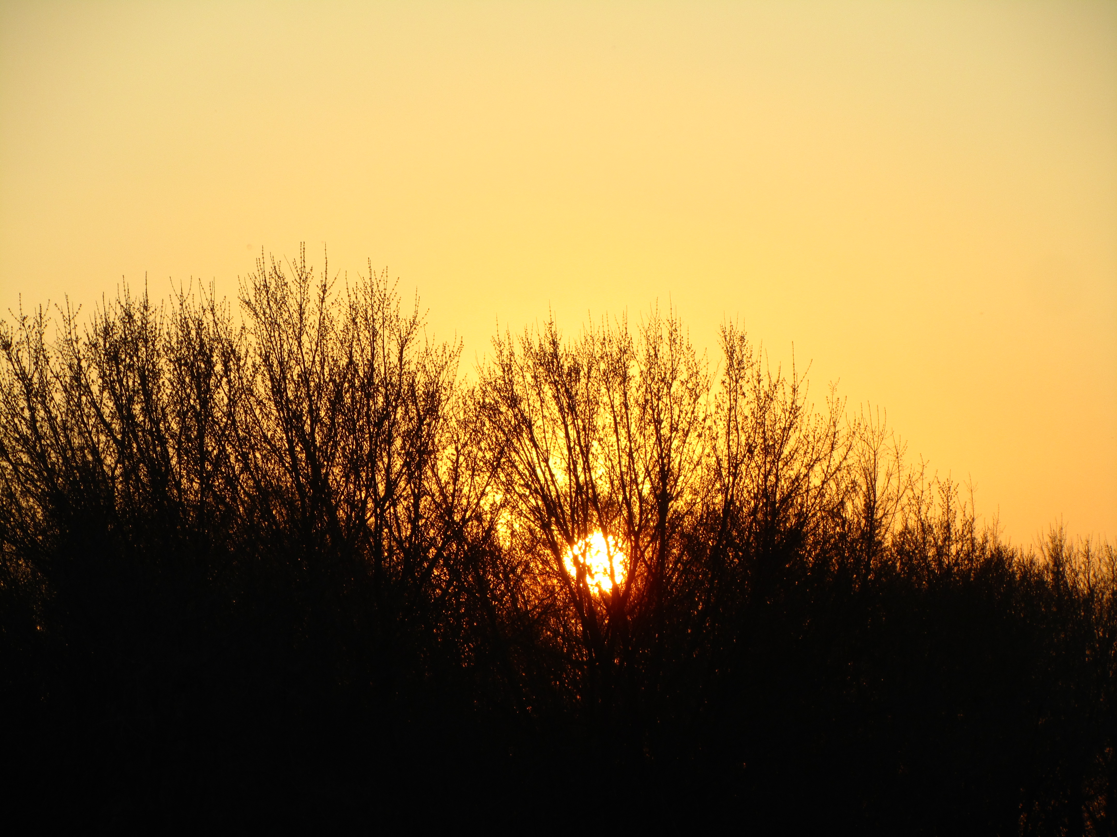 Baixe gratuitamente a imagem Pôr Do Sol, Terra/natureza na área de trabalho do seu PC