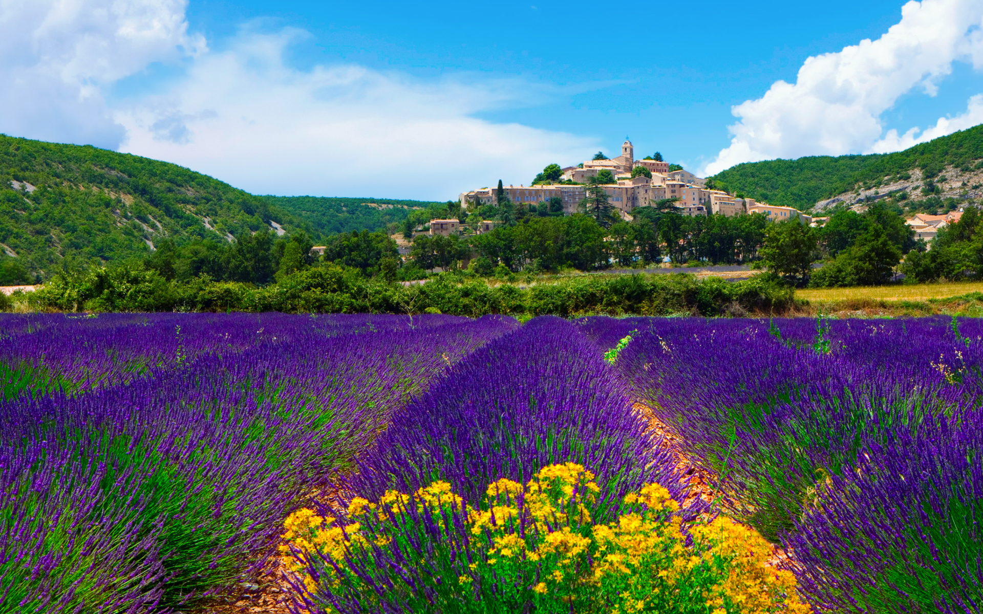 provence, lavender, man made, banon, field, france
