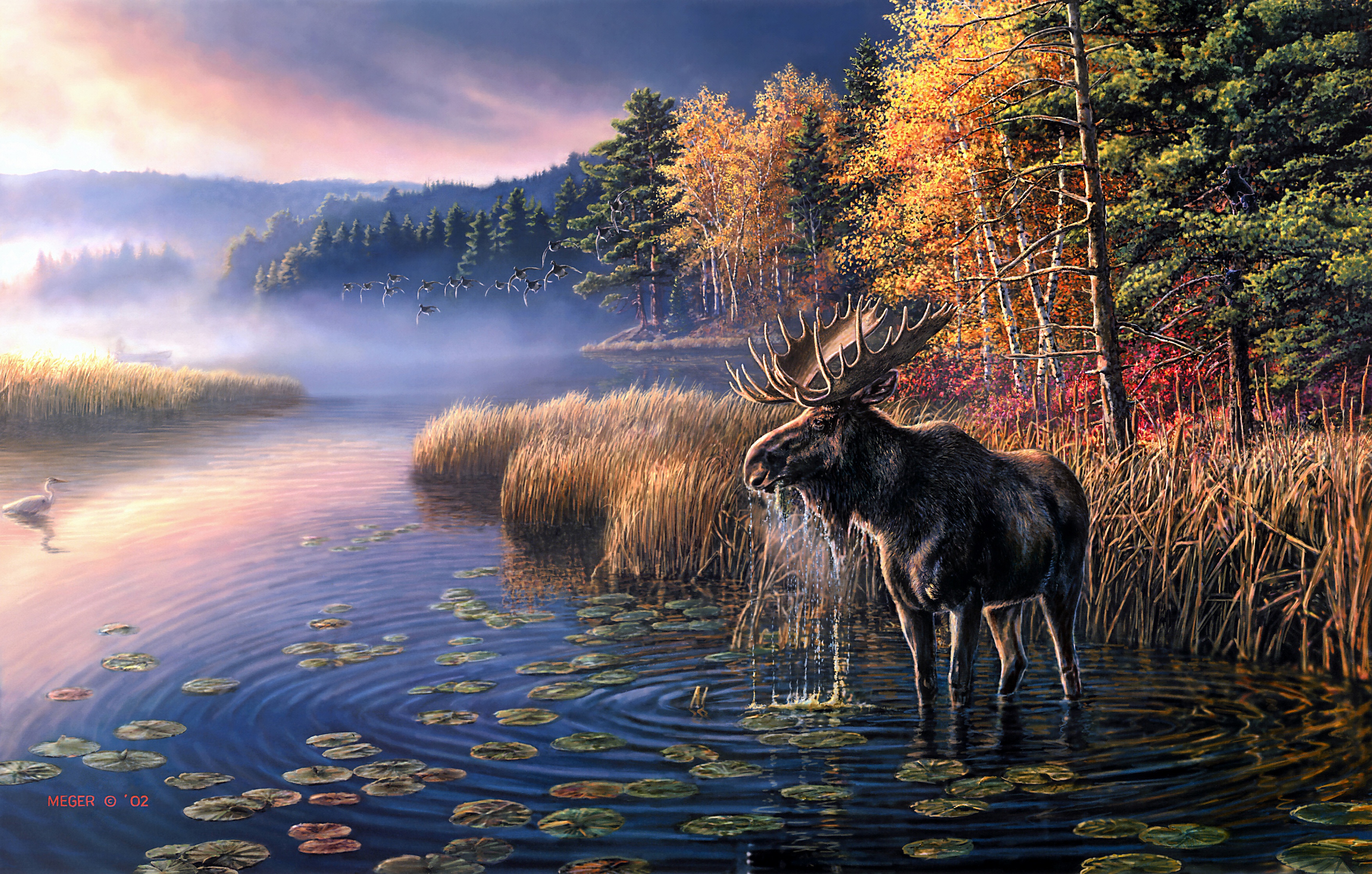 Free download wallpaper Dawn, Heron, Lake, Bird, Fog, Fall, Animal, Moose on your PC desktop