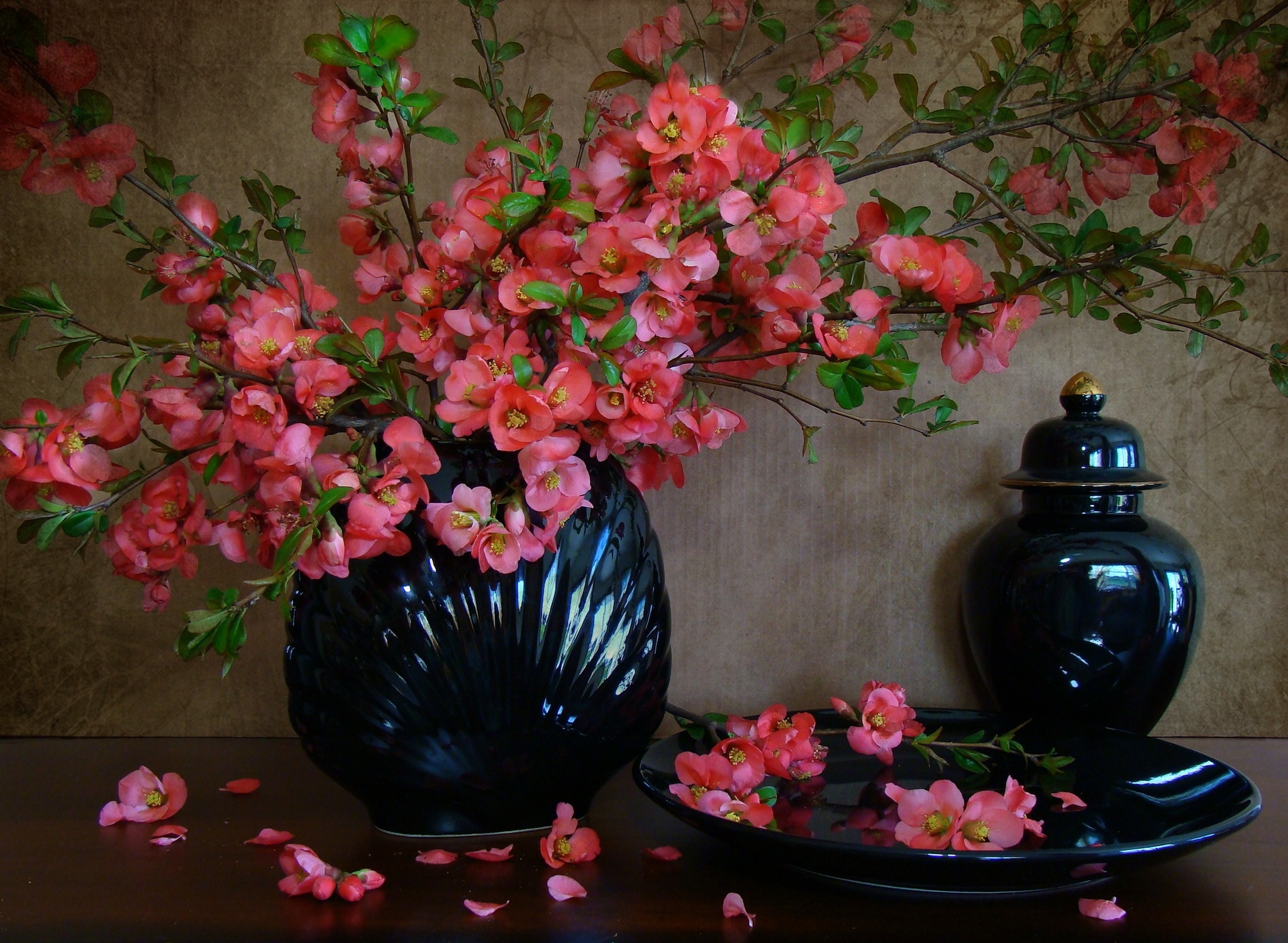 Download mobile wallpaper Still Life, Flower, Vase, Photography, Blossom, Pink Flower for free.