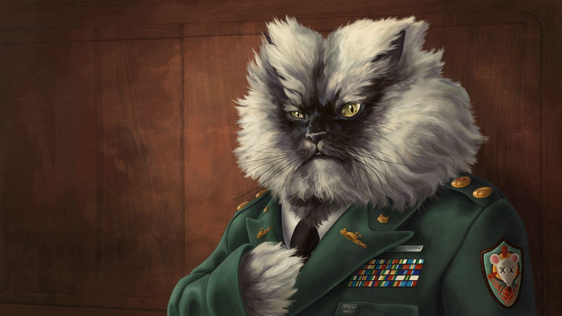military, art, cat, fluffy, blazer, coat Full HD