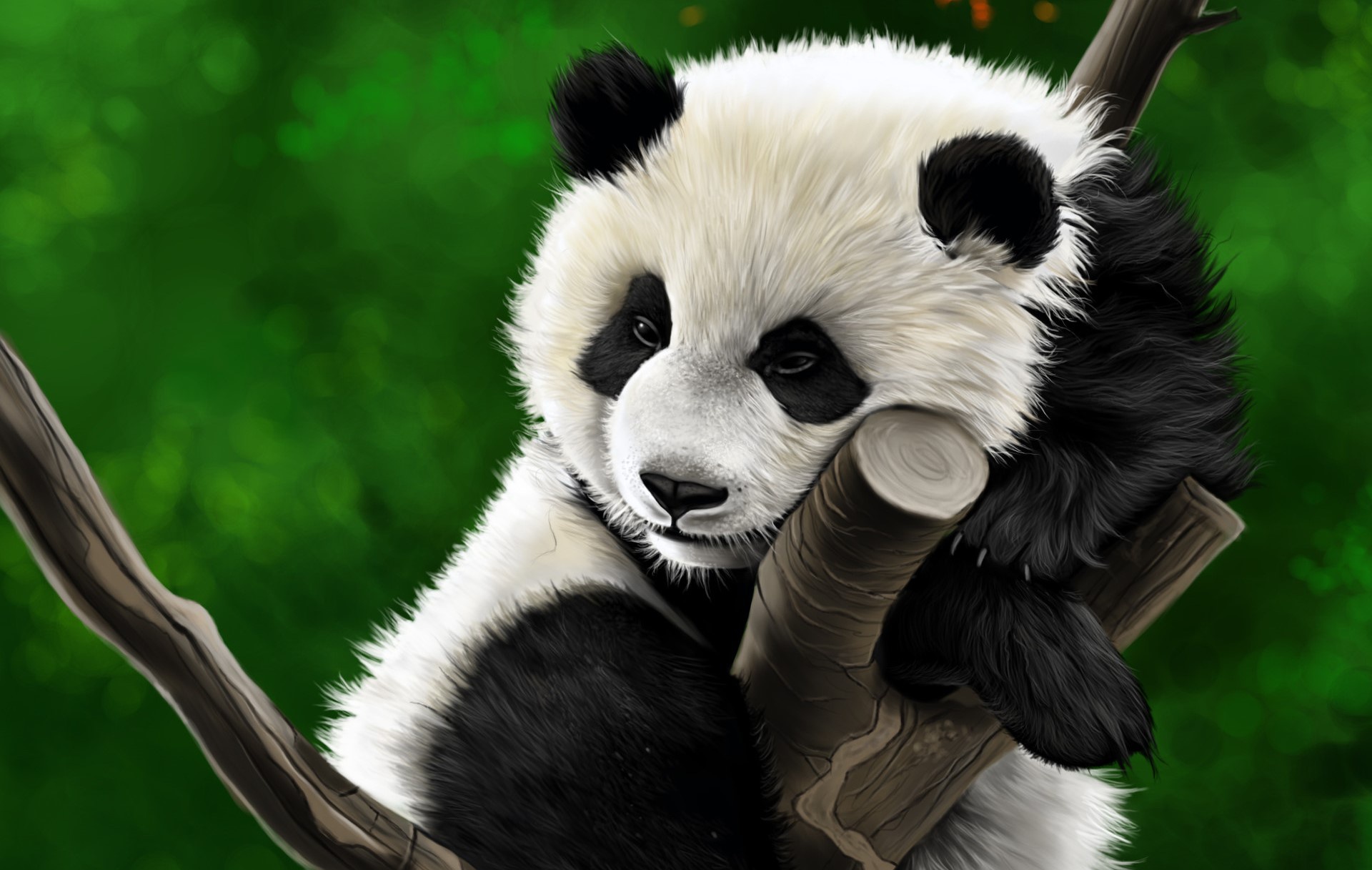 Téléchargez gratuitement l'image Animaux, Dessin, Panda sur le bureau de votre PC