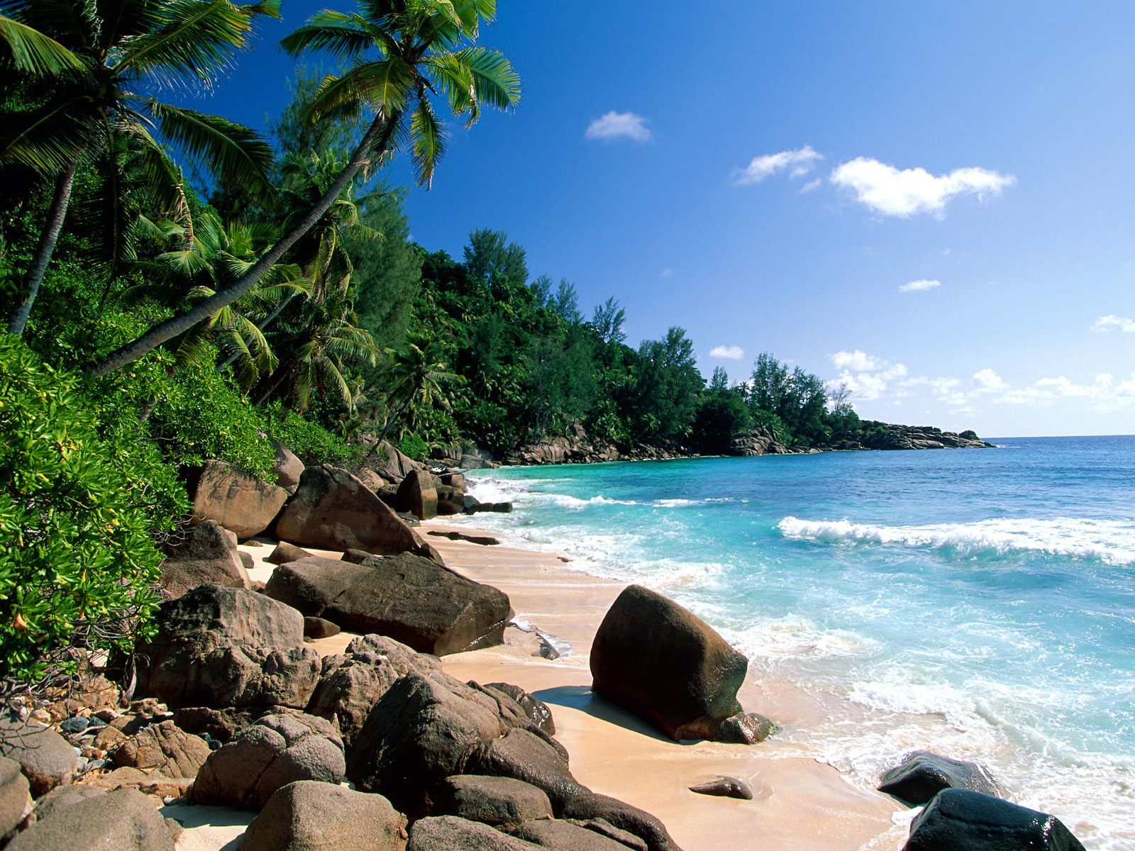 10947 télécharger le fond d'écran paysage, plage, mer, arbres, palms, été - économiseurs d'écran et images gratuitement