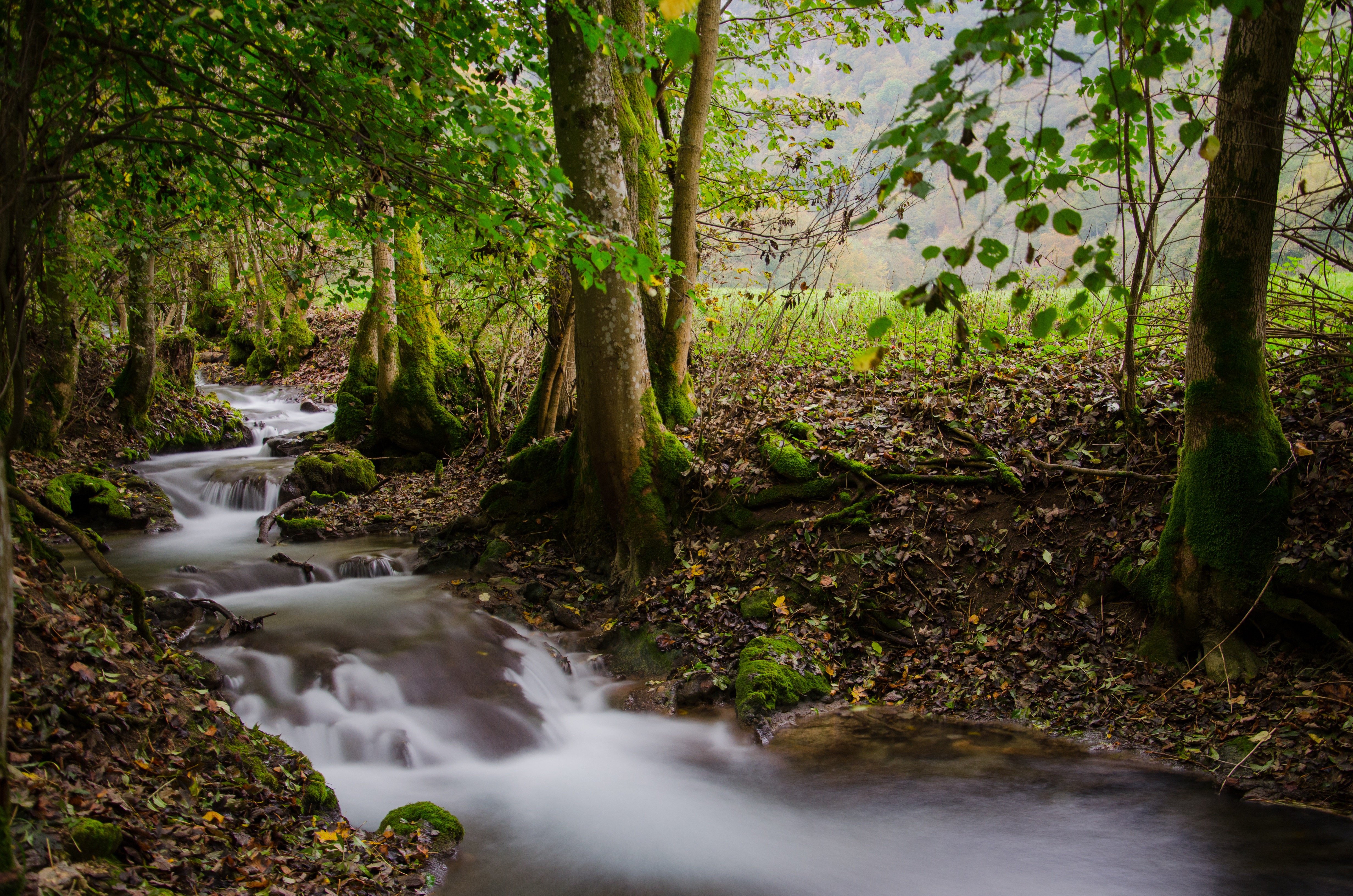 Descarga gratis la imagen Naturaleza, Chorro, Tierra/naturaleza en el escritorio de tu PC