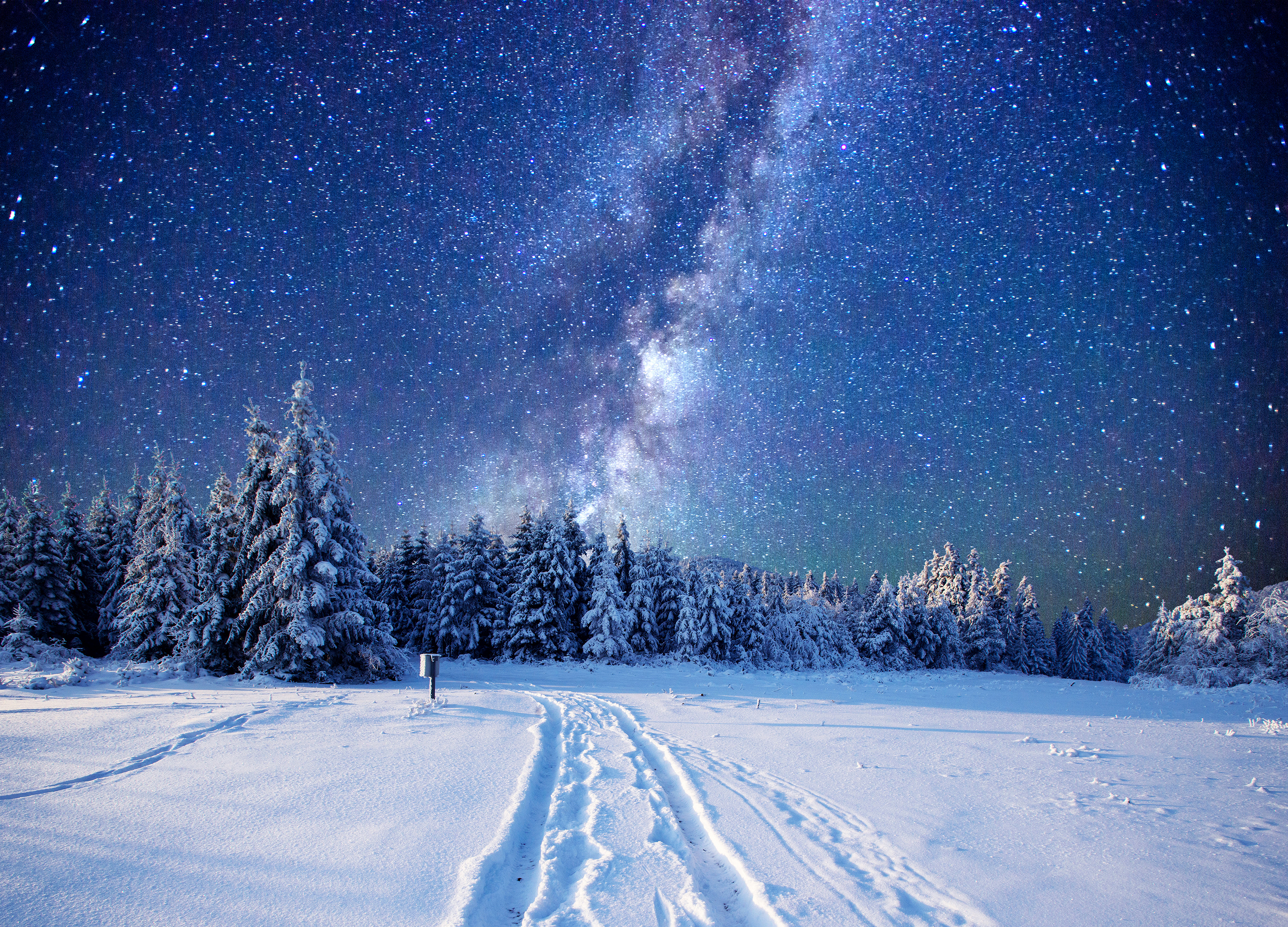 night, winter, snow, nature, milky way, sci fi, forest, sky, starry sky, stars