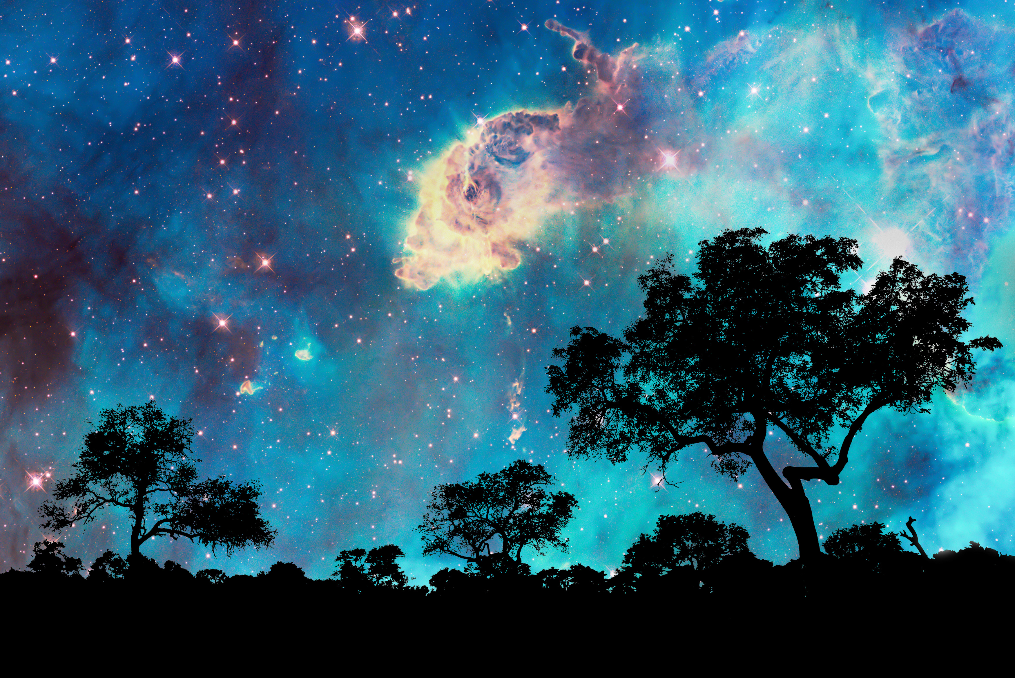 Descarga gratuita de fondo de pantalla para móvil de Noche, Árbol, Nebulosa, Tierra/naturaleza.