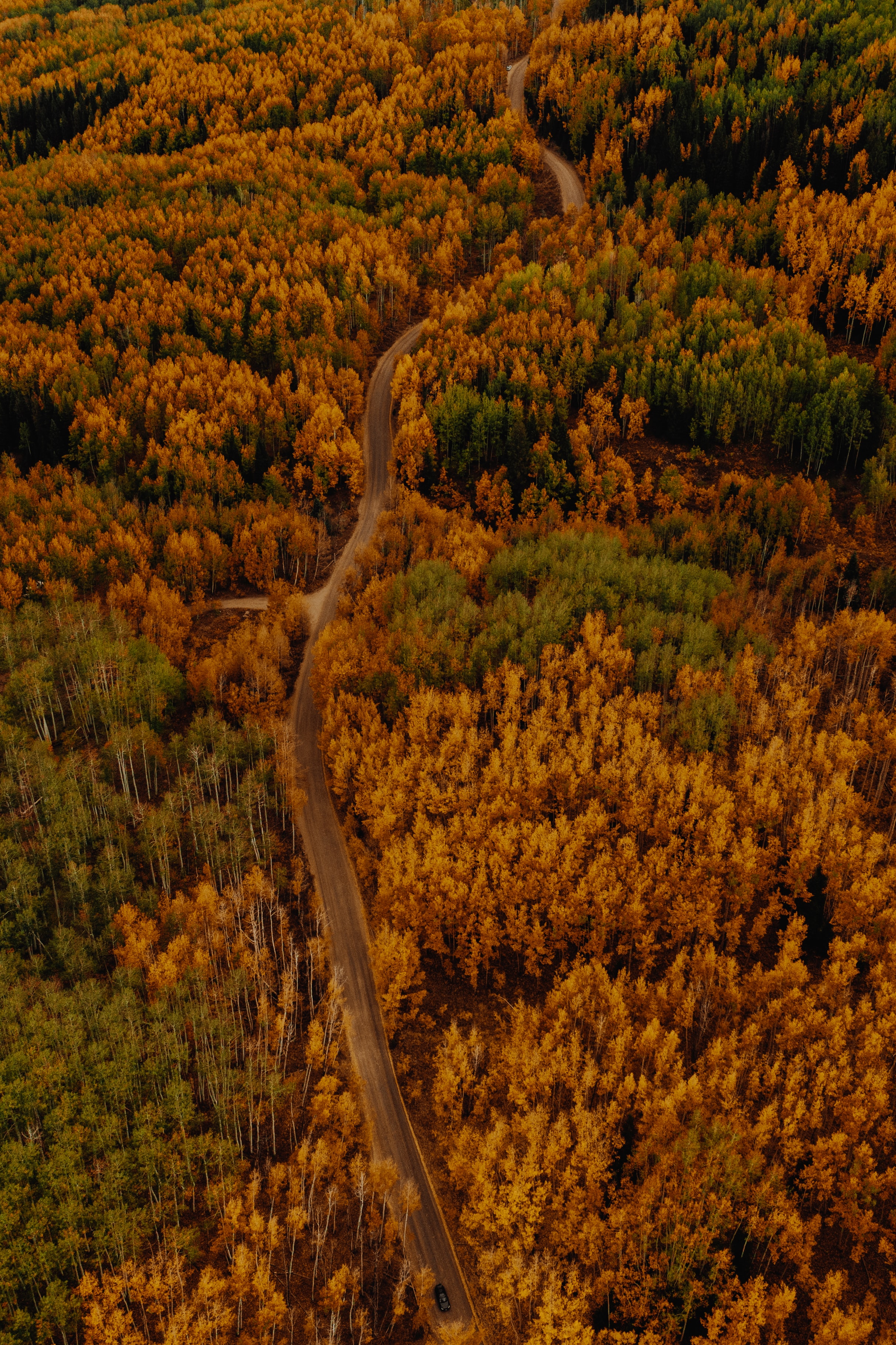 Download mobile wallpaper View From Above, Road, Nature, Forest, Car, Machine, Autumn for free.