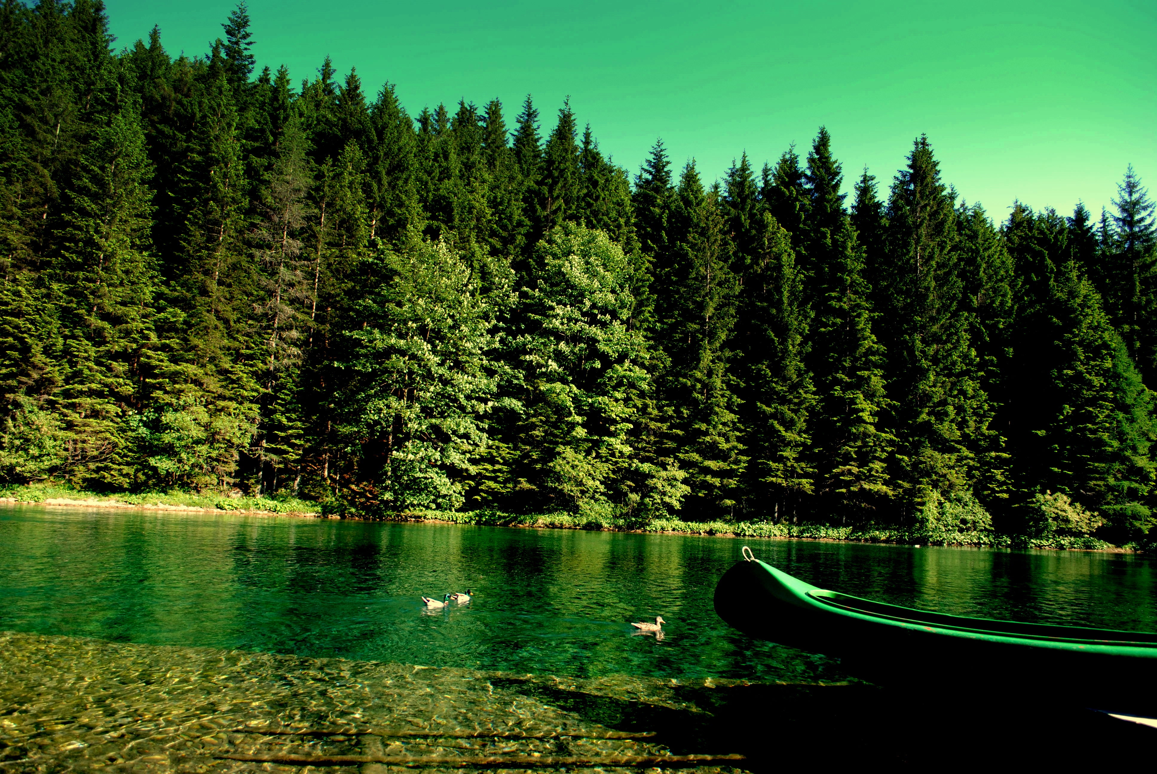 Laden Sie das Ein Boot, Boot, Natur, Wald, Flüsse-Bild kostenlos auf Ihren PC-Desktop herunter