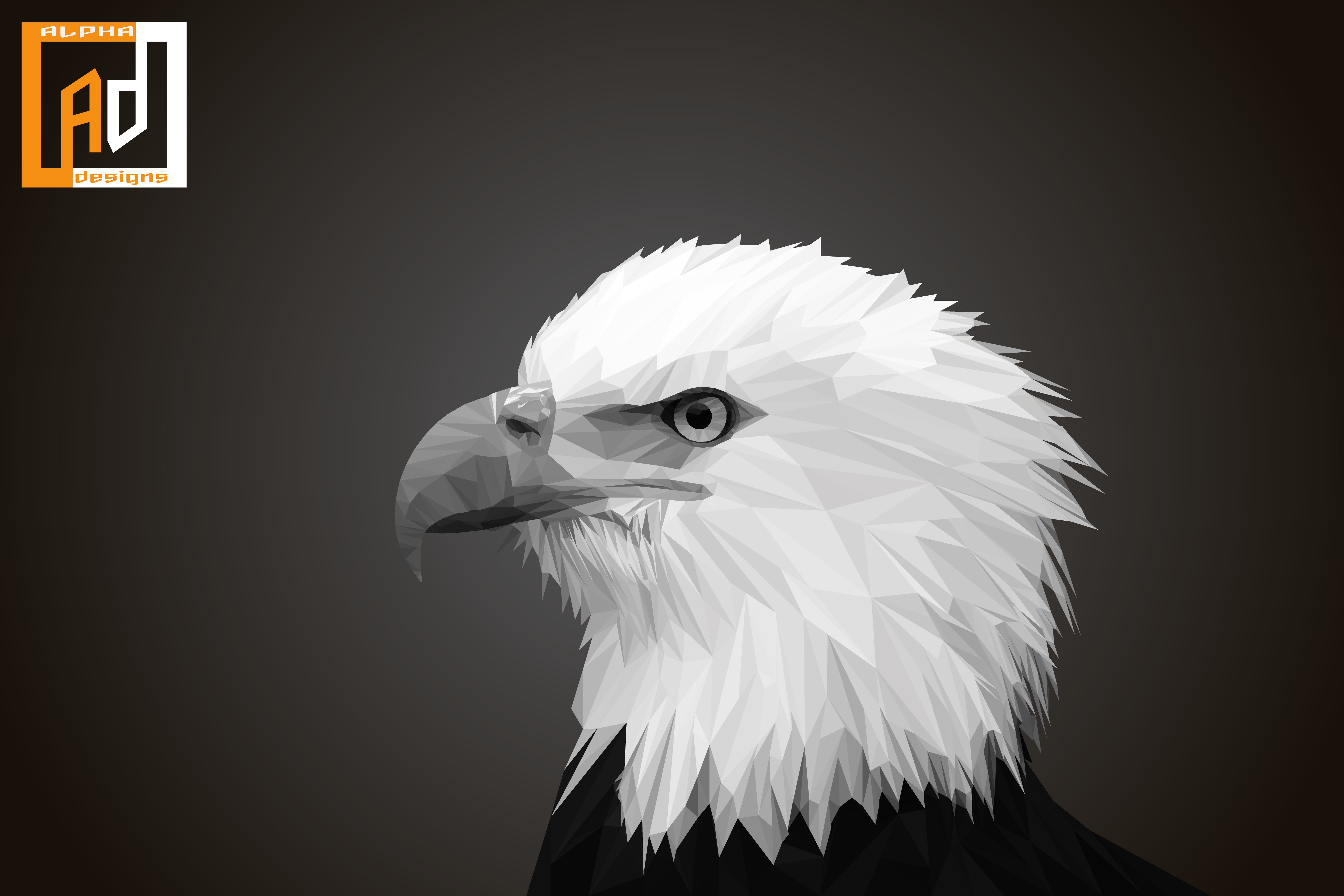 PCデスクトップに動物, 鳥, 鷲, 白頭ワシ画像を無料でダウンロード