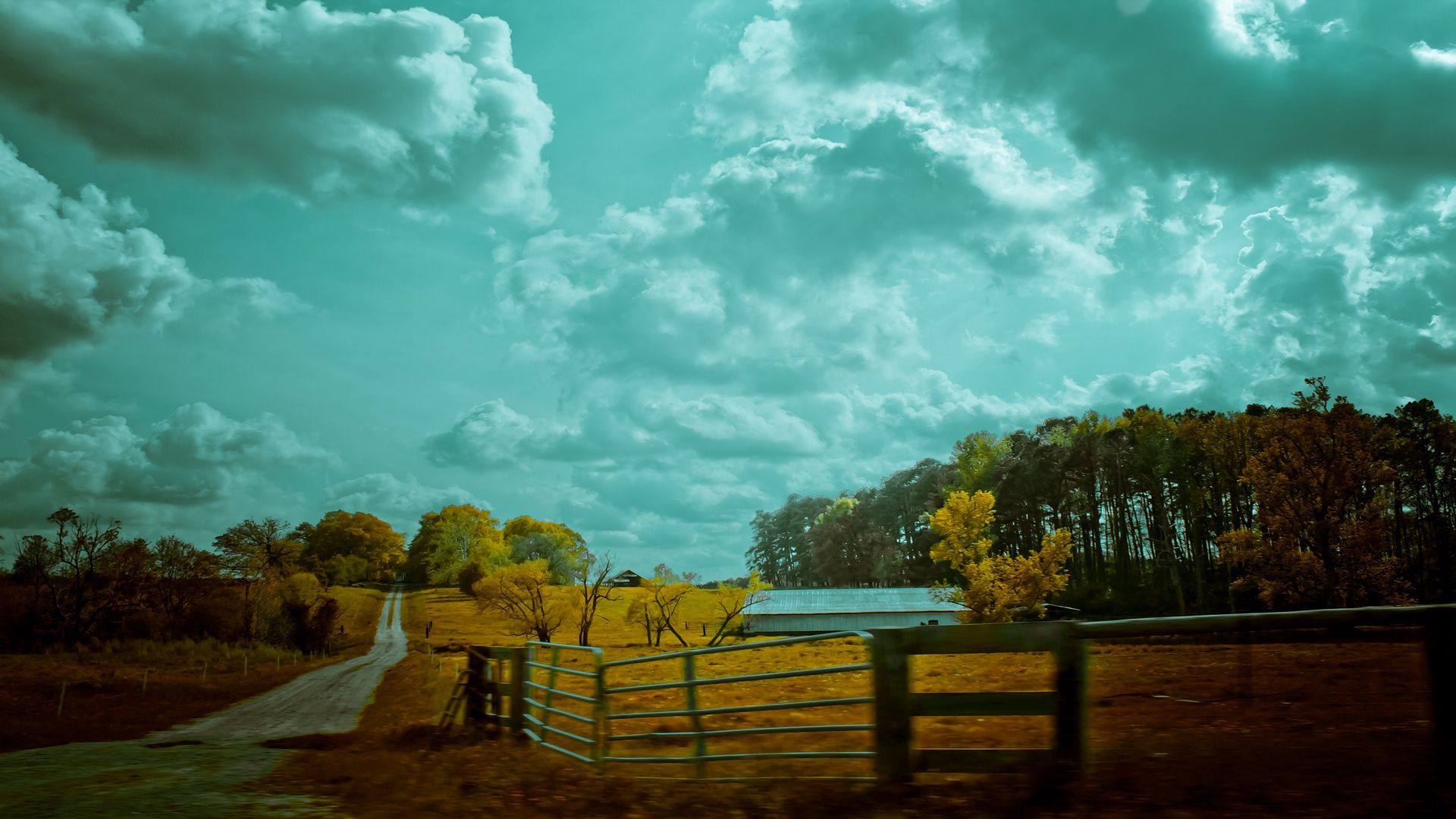 nature, sky, autumn, road, colors, color, fence, mainly cloudy, overcast, paints HD wallpaper
