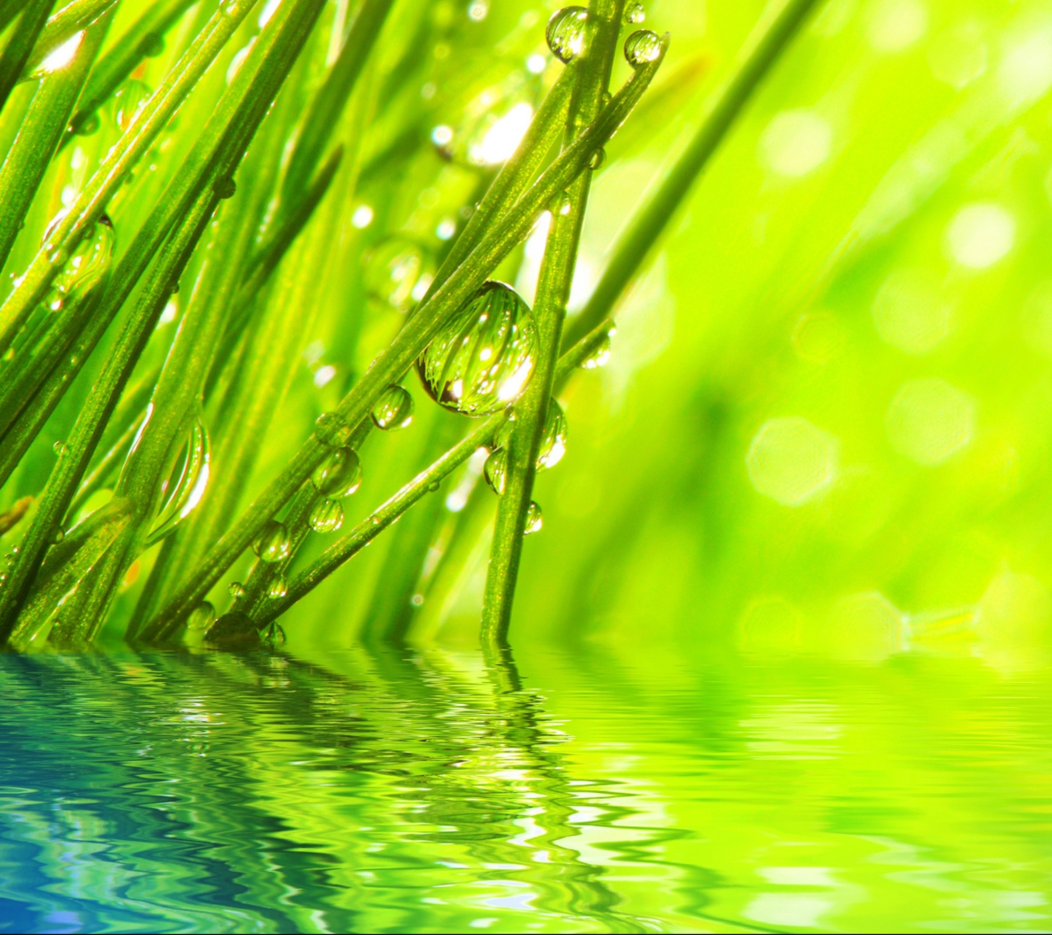 Free download wallpaper Water, Grass, Macro, Earth, Water Drop on your PC desktop