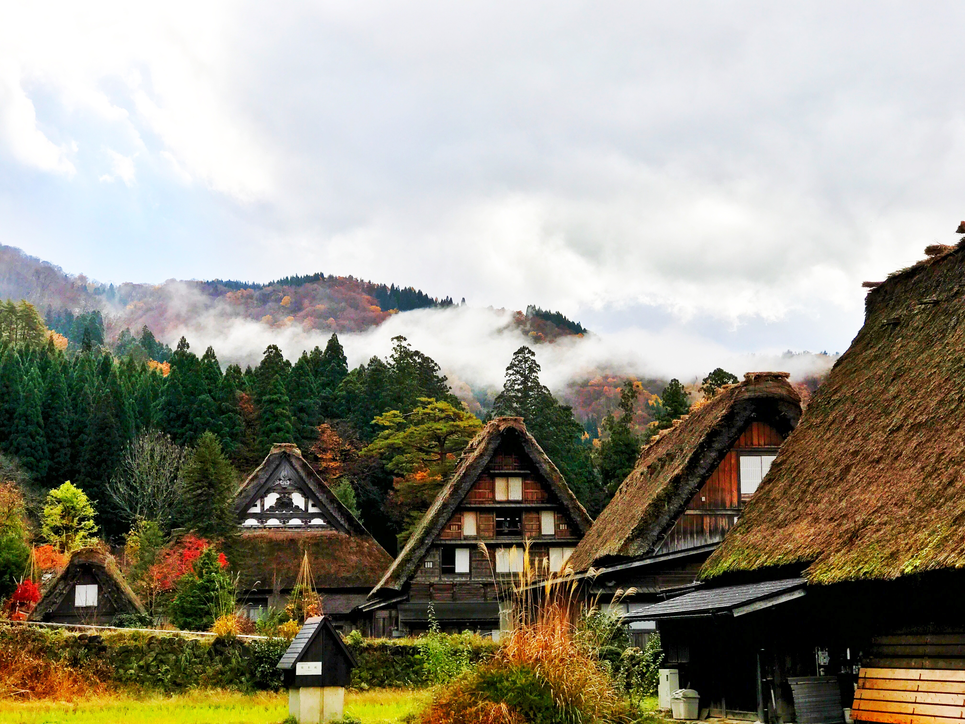 japan, cities, houses, trees, mountains, shirakawa