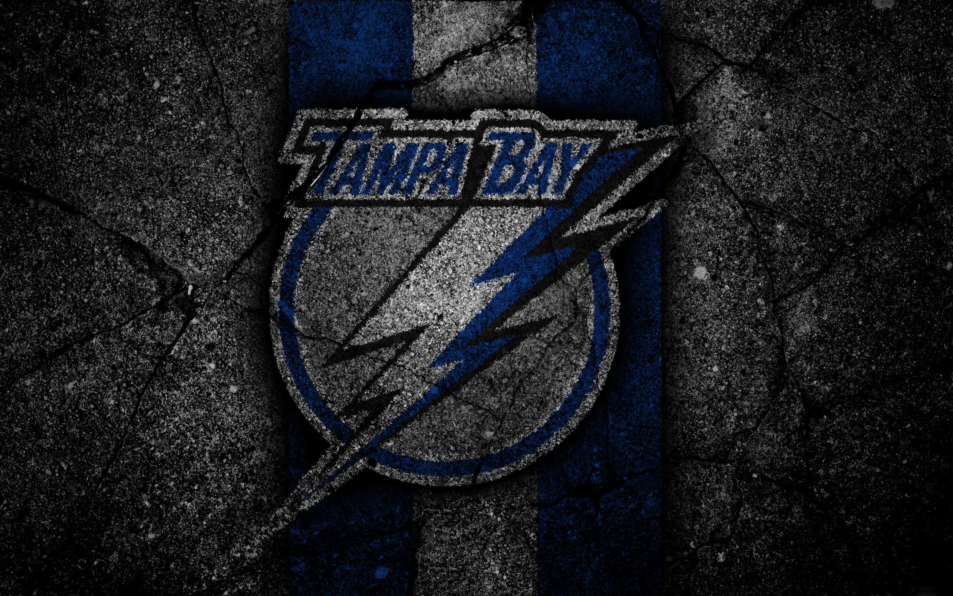 sports, tampa bay lightning, emblem, logo, nhl, hockey