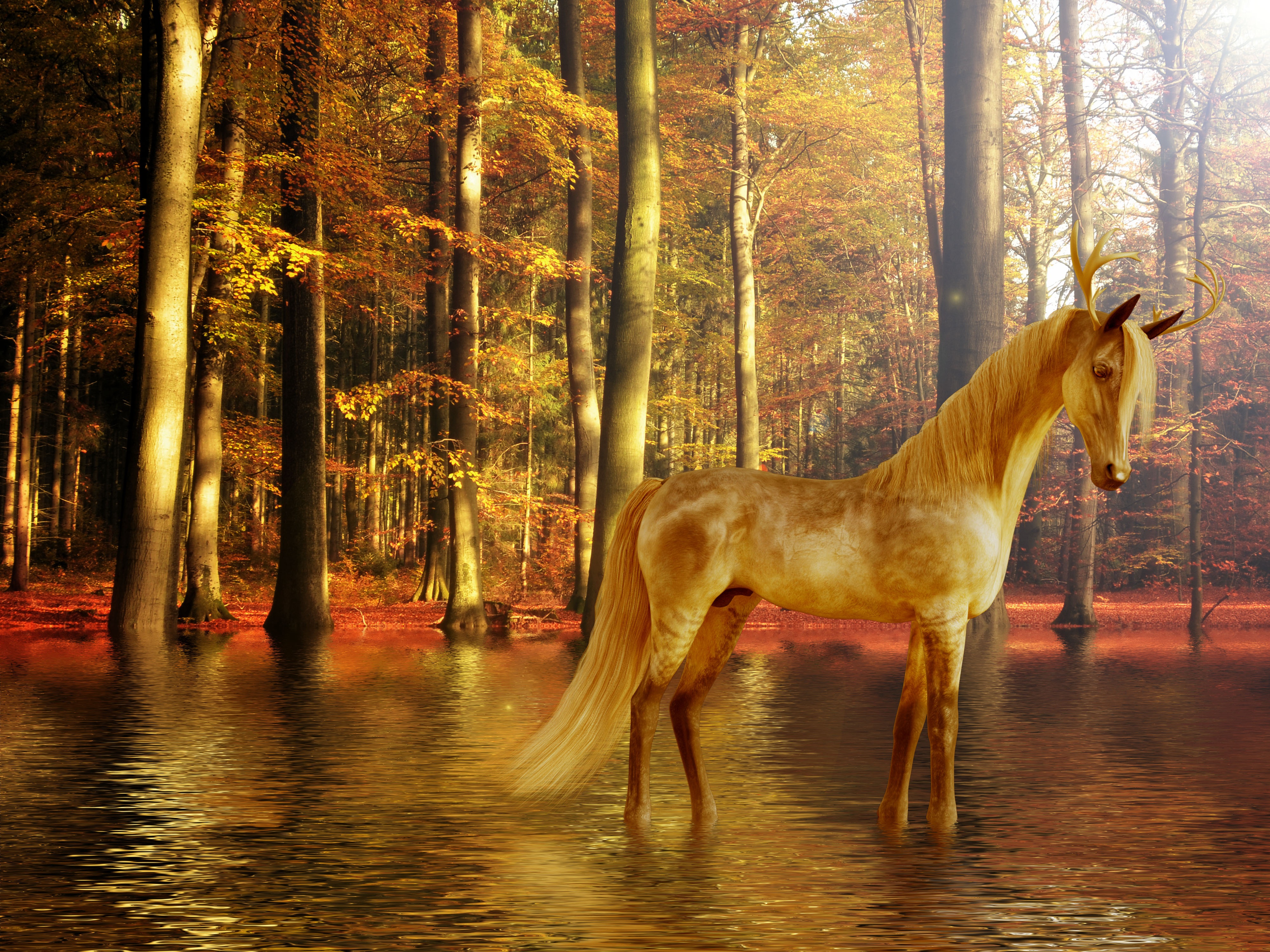 Download mobile wallpaper Water, Forest, Animal, Artistic for free.