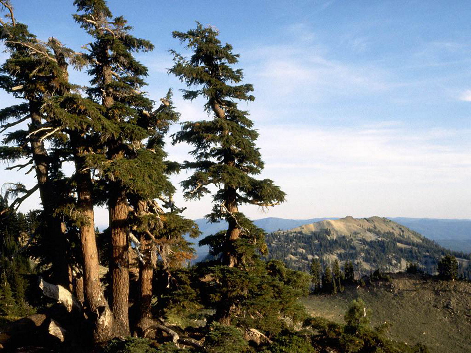 Descarga gratuita de fondo de pantalla para móvil de Paisaje, Tierra/naturaleza.