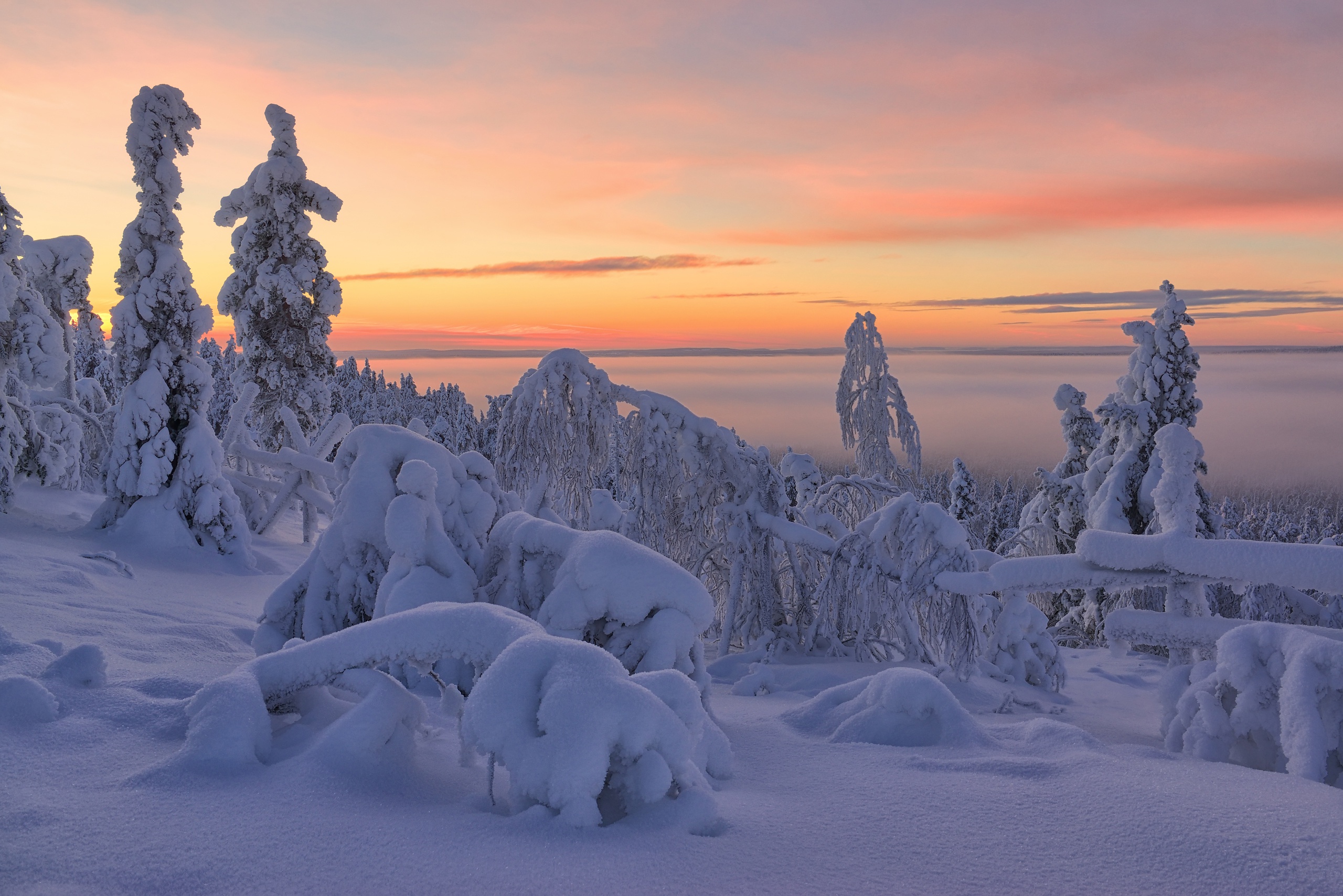 Download mobile wallpaper Landscape, Winter, Nature, Sky, Snow, Fog, Sunrise, Earth for free.